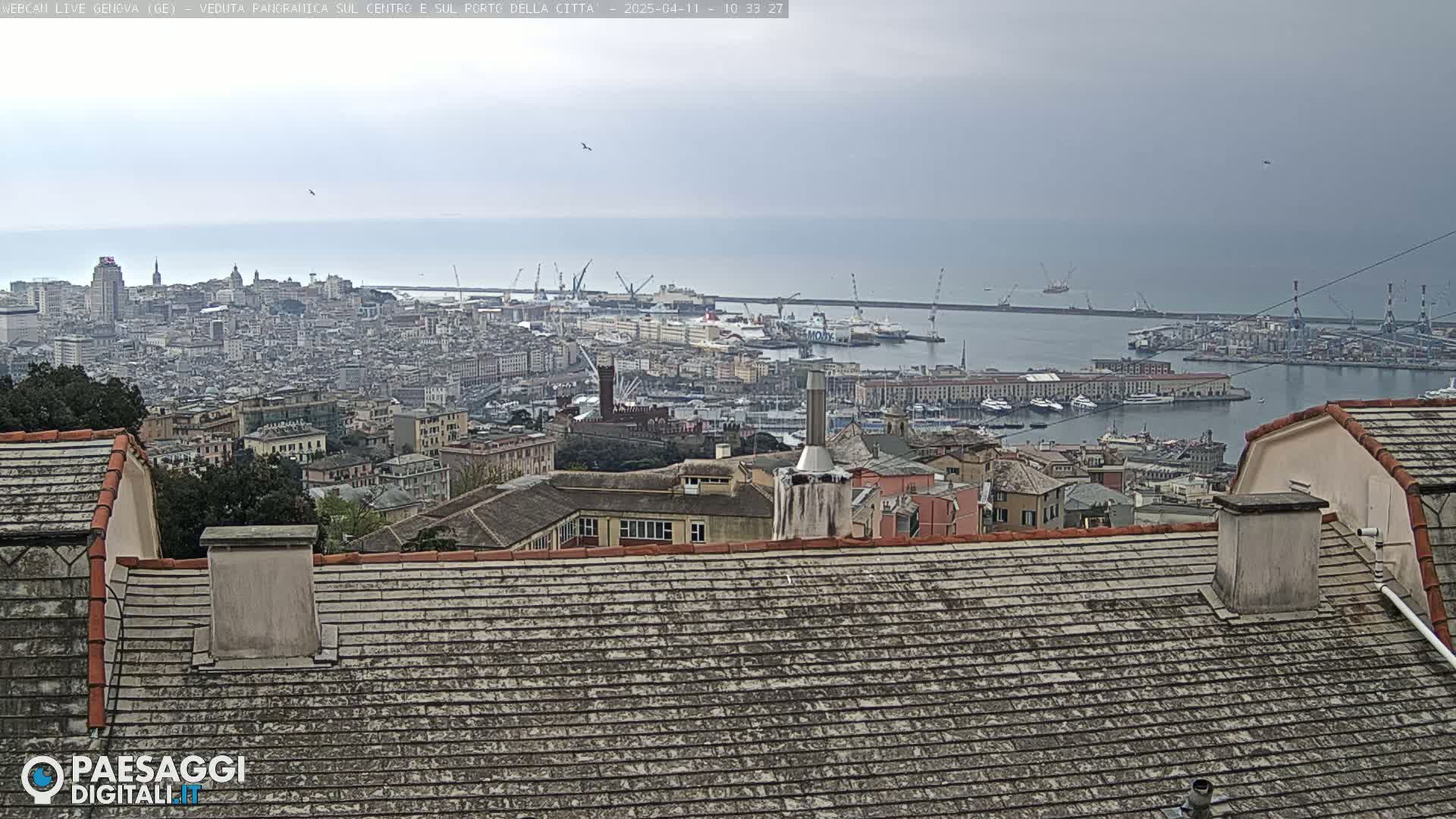 A panoramic view of a city and harbor on an overcast day, seen from a rooftop.