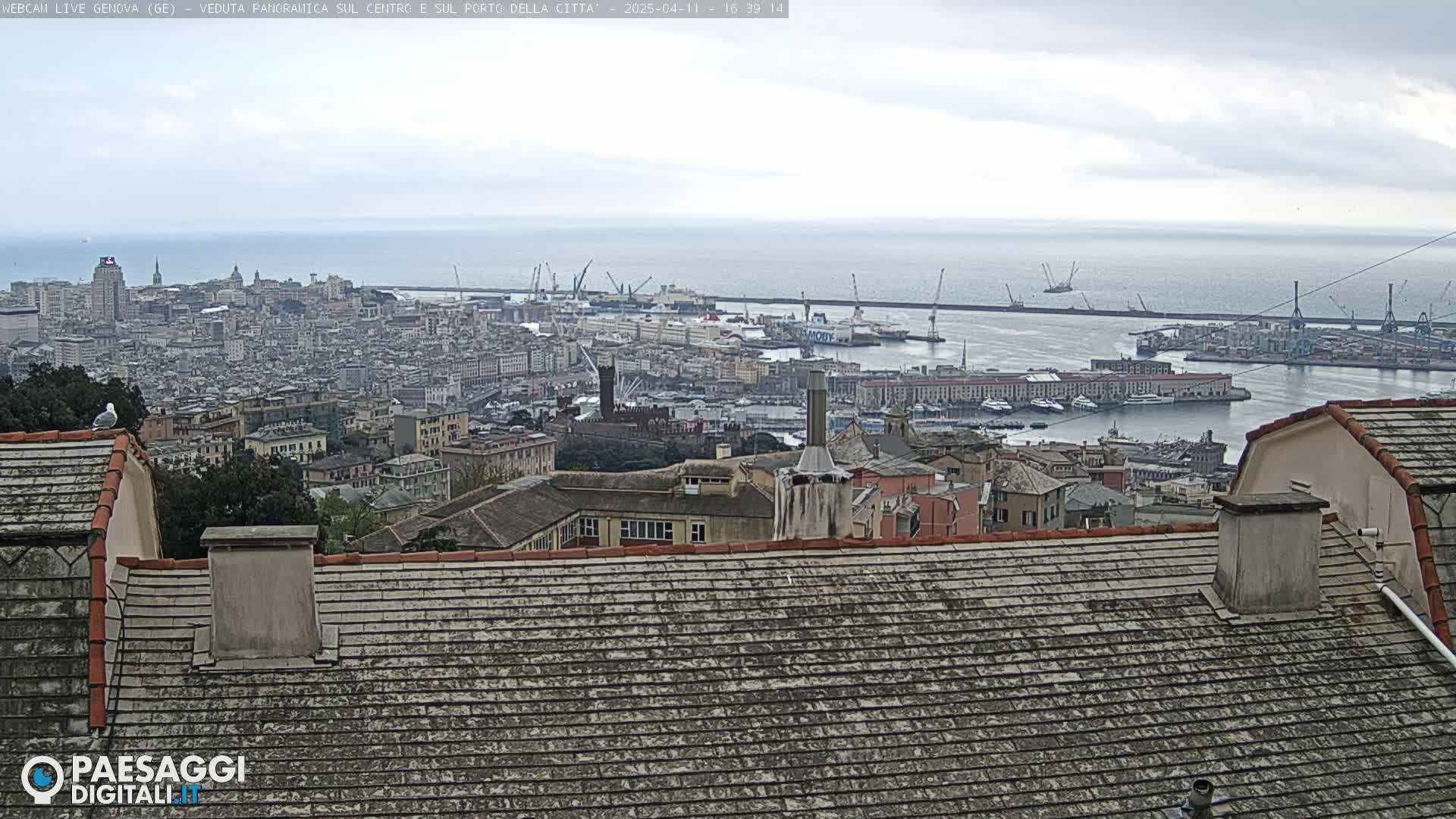 A panoramic view of a city and harbor under an overcast sky, seen from a rooftop.