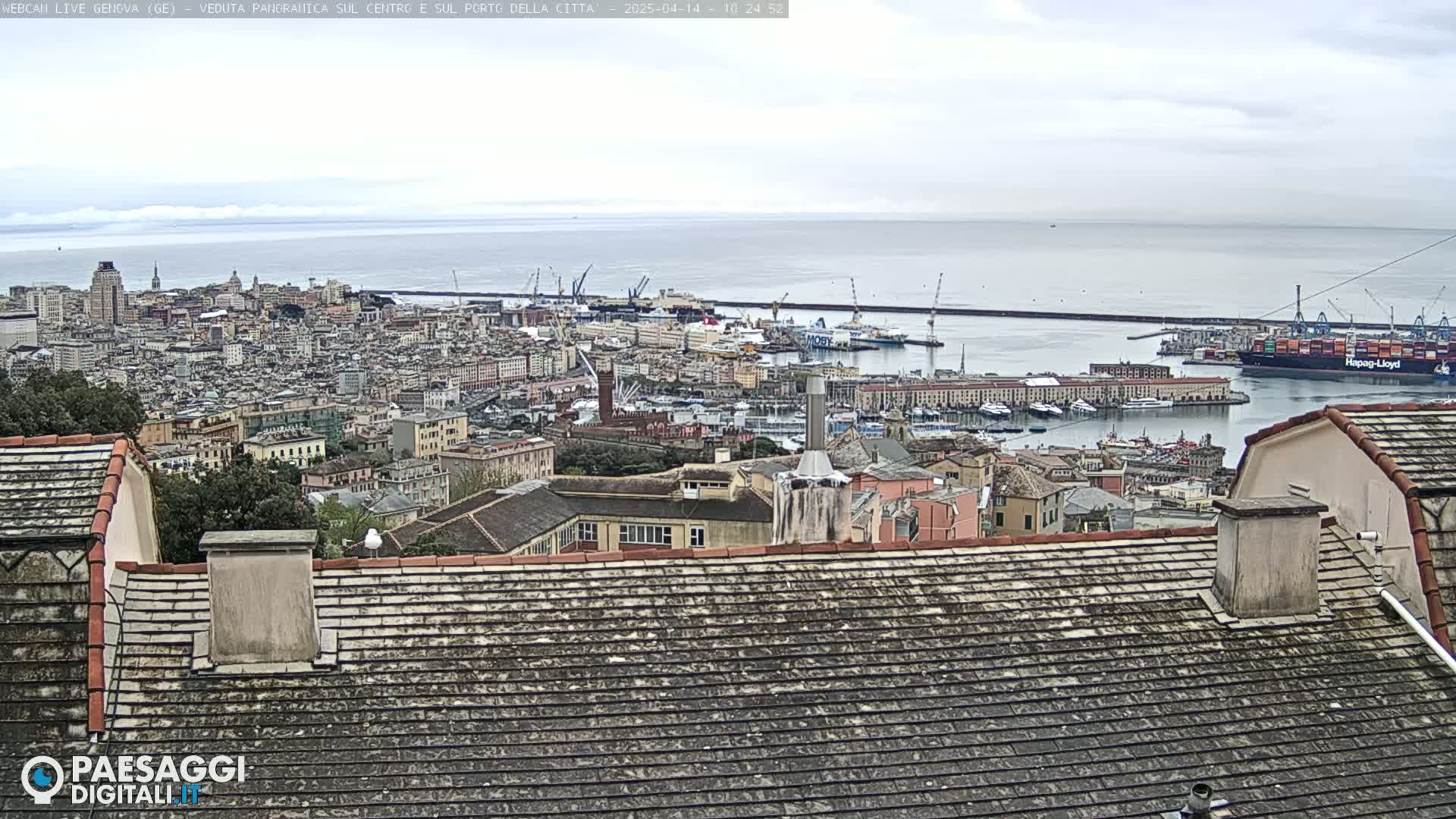 A panoramic view of a city and its harbor on an overcast day, showing a large body of water and many buildings.