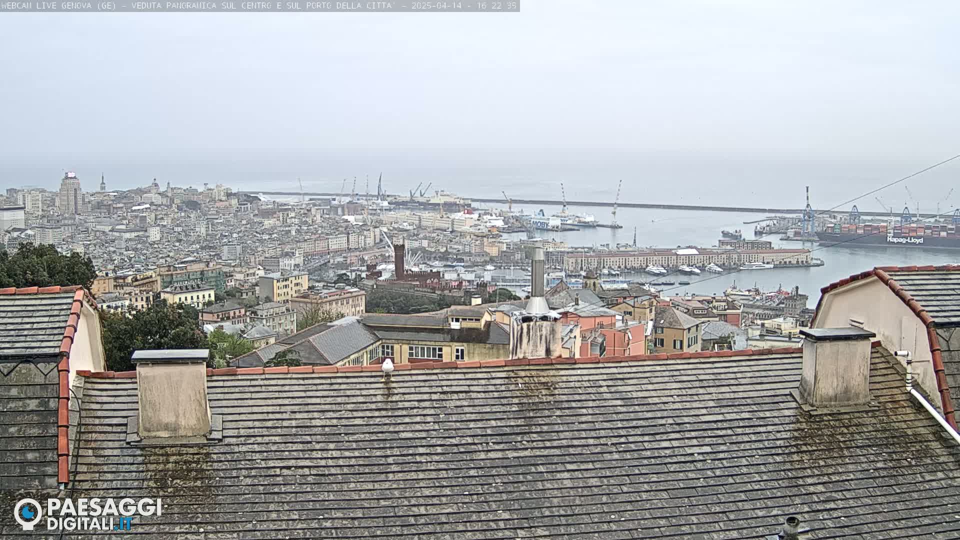 A panoramic view of a city with a harbor, under an overcast sky, is seen from a rooftop.