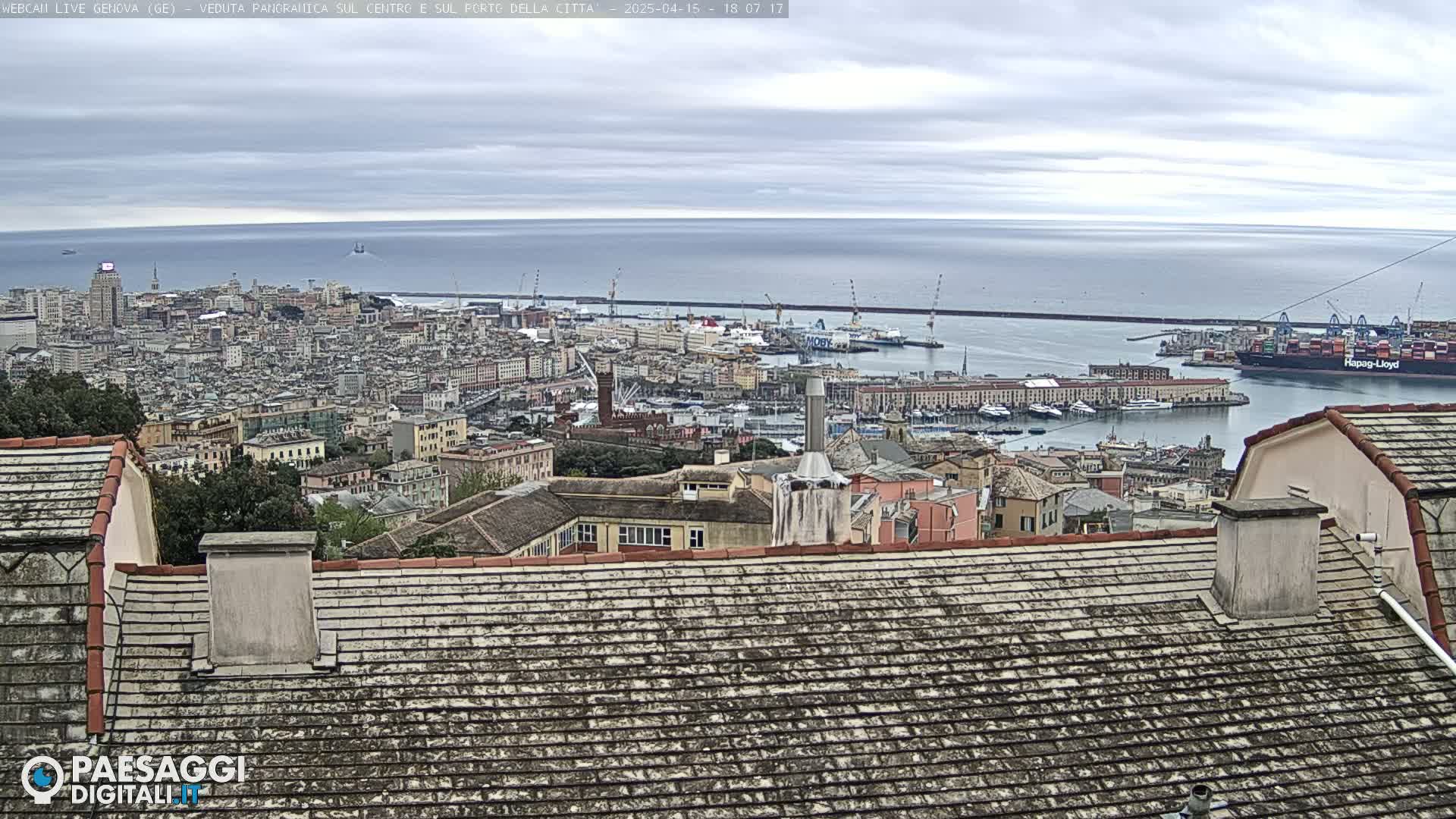 A panoramic view of a city harbor on an overcast day shows many buildings, boats, and ships, with a large container ship prominent in the harbor.