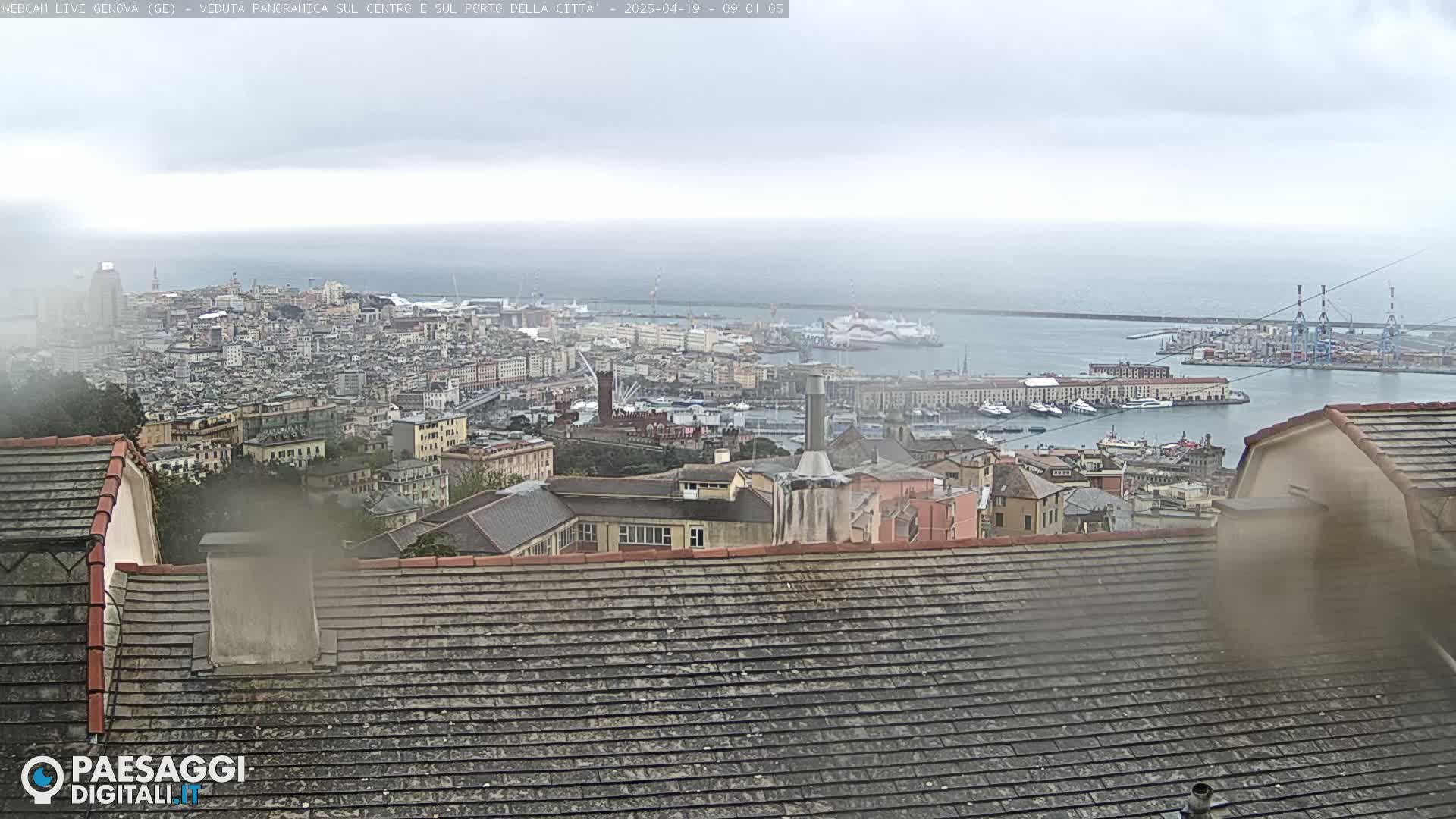 A rain-streaked view from a rooftop shows a sprawling city overlooking a harbor filled with ships under a cloudy sky.