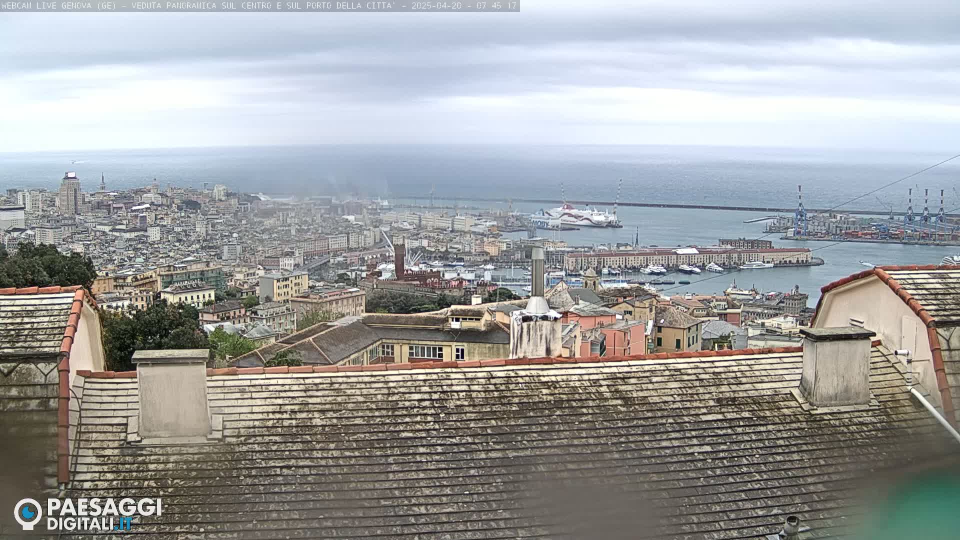 A panoramic view of a city and harbor under an overcast sky, seen from a rooftop.