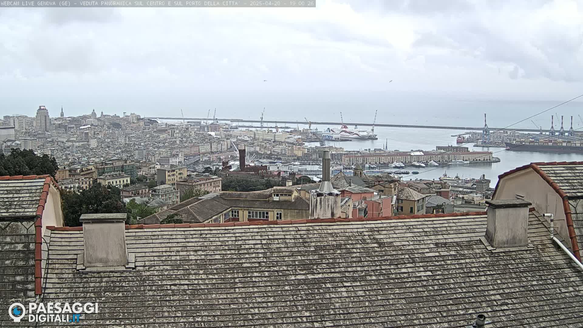 A panoramic view of a city and harbor on an overcast day, showing many buildings and ships.
