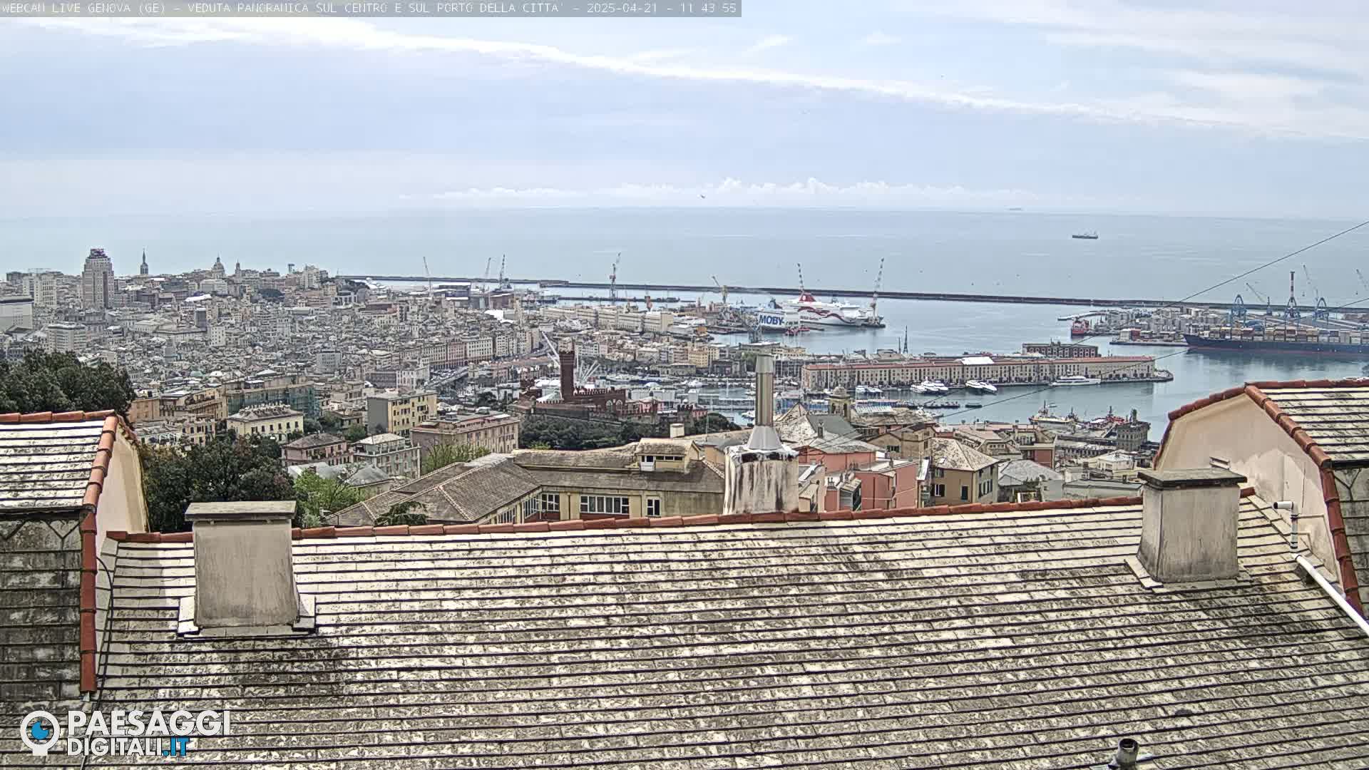 A sprawling city with a large port and a calm ocean under a mostly clear sky is viewed from a rooftop.