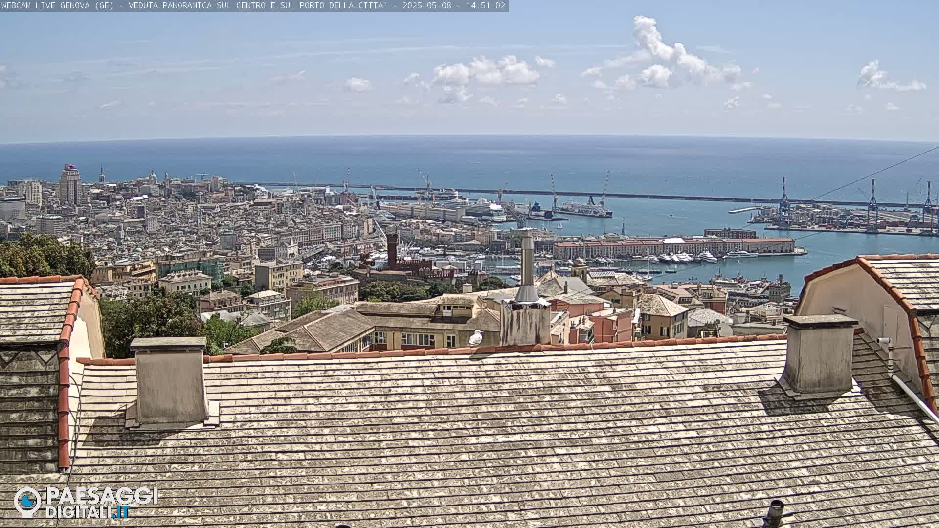 A sprawling city with a large harbor filled with ships extends to a calm blue ocean under a partly cloudy sky.