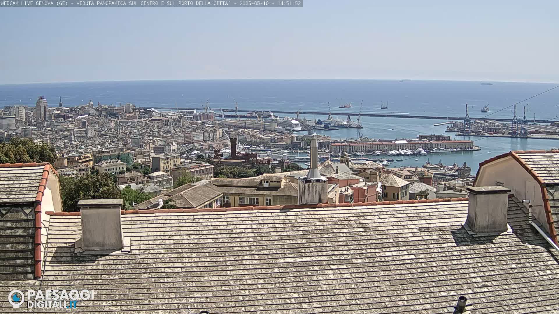A sunny view from a rooftop shows a sprawling city overlooking a harbor filled with boats and ships, extending to a calm blue sea in the distance.