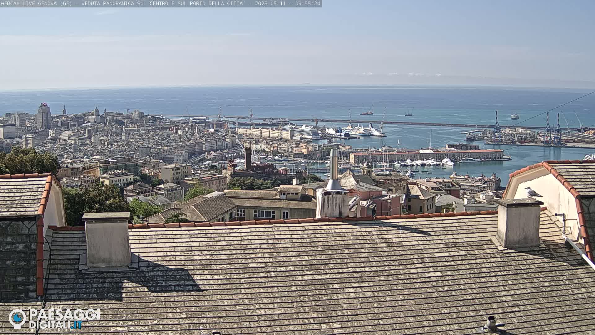 A sprawling city, harbor, and ocean are visible from a high vantage point on a sunny day.