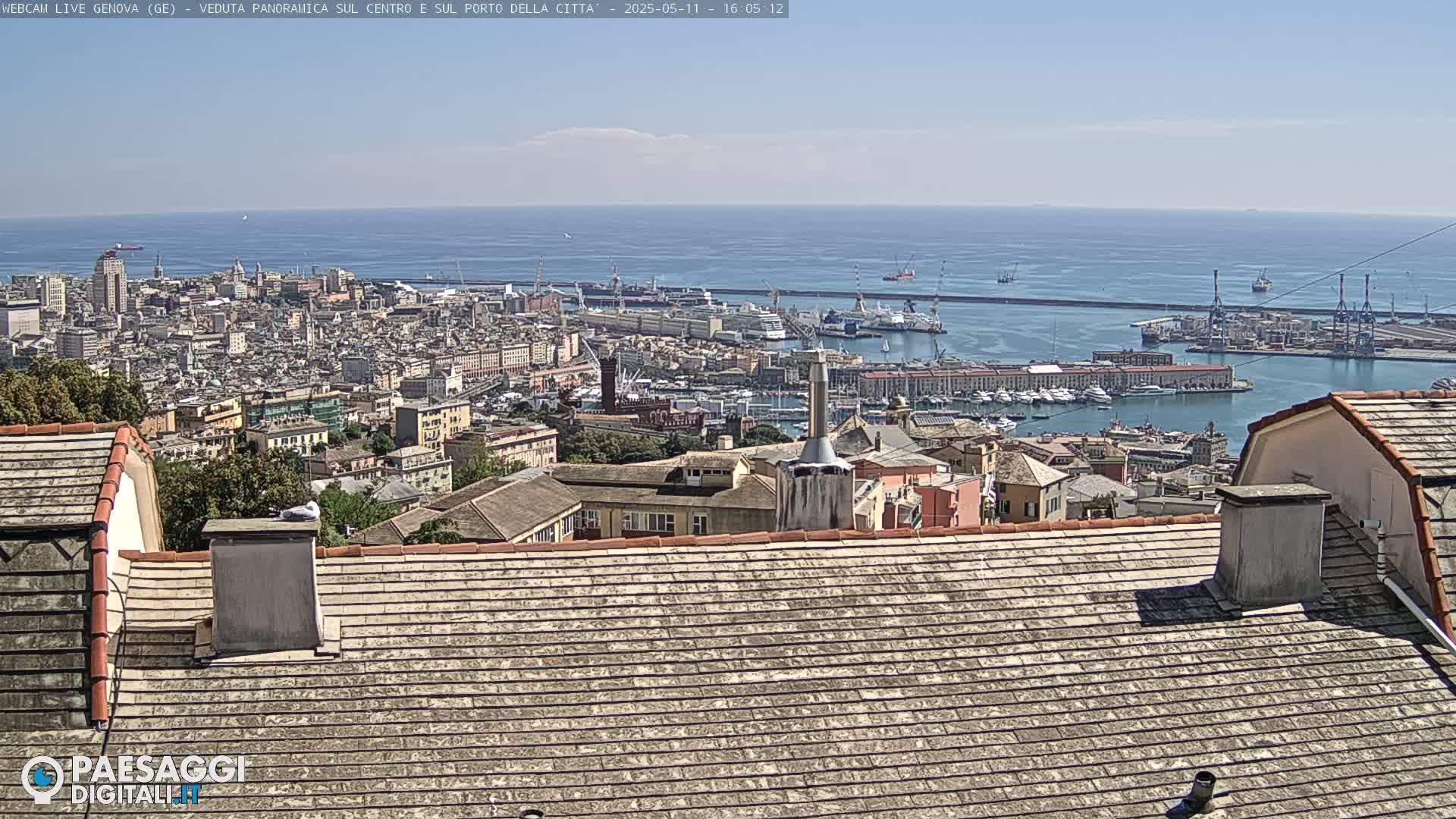 A panoramic view of a city and harbor on a sunny day, seen from a rooftop with a seagull perched on a chimney.