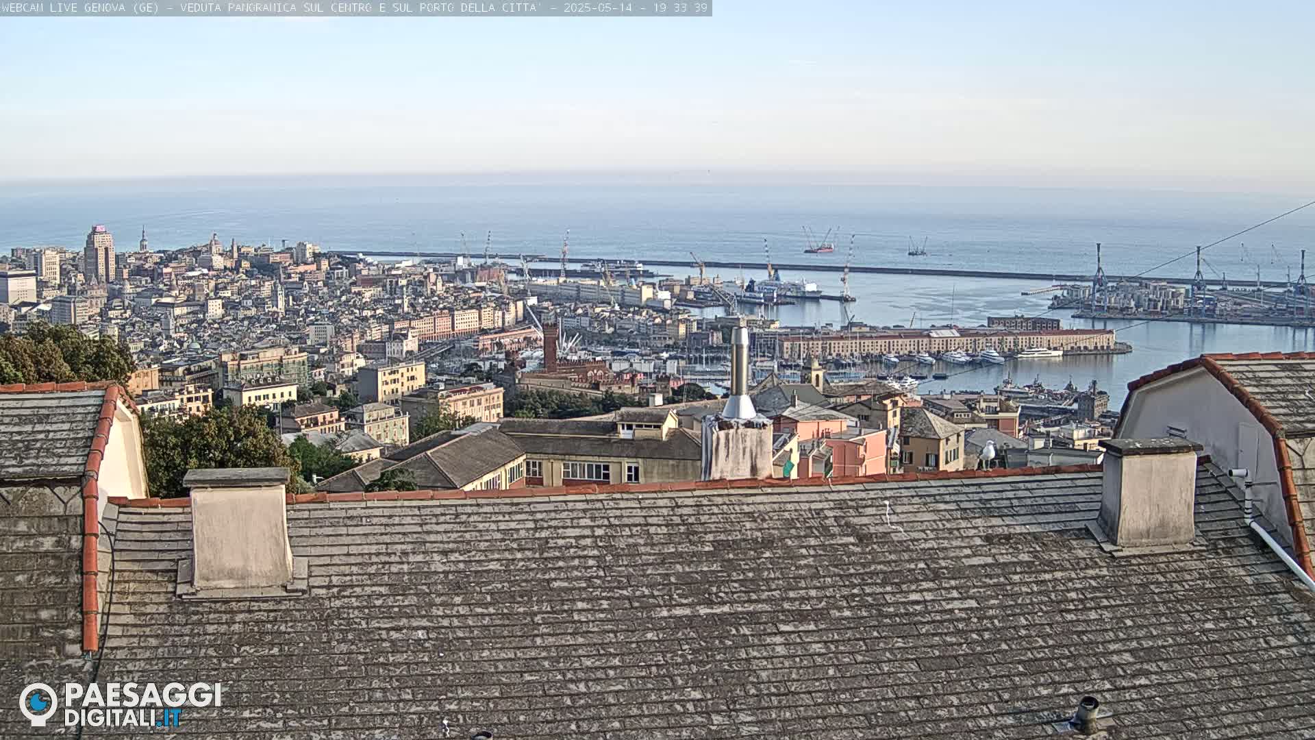 A sprawling cityscape with a large harbor and calm ocean stretches out under a clear sky.
