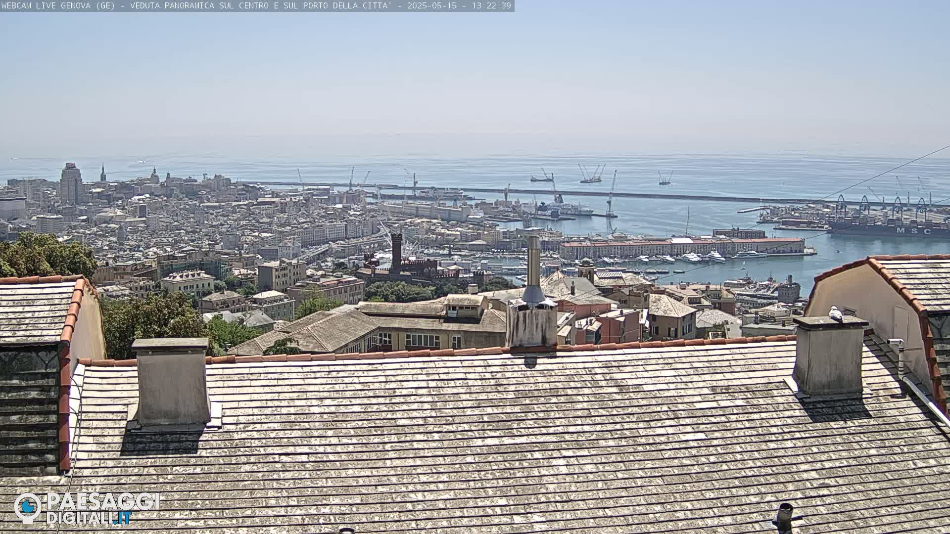 A panoramic view of a city and harbor on a sunny day shows many buildings, ships, and the ocean.