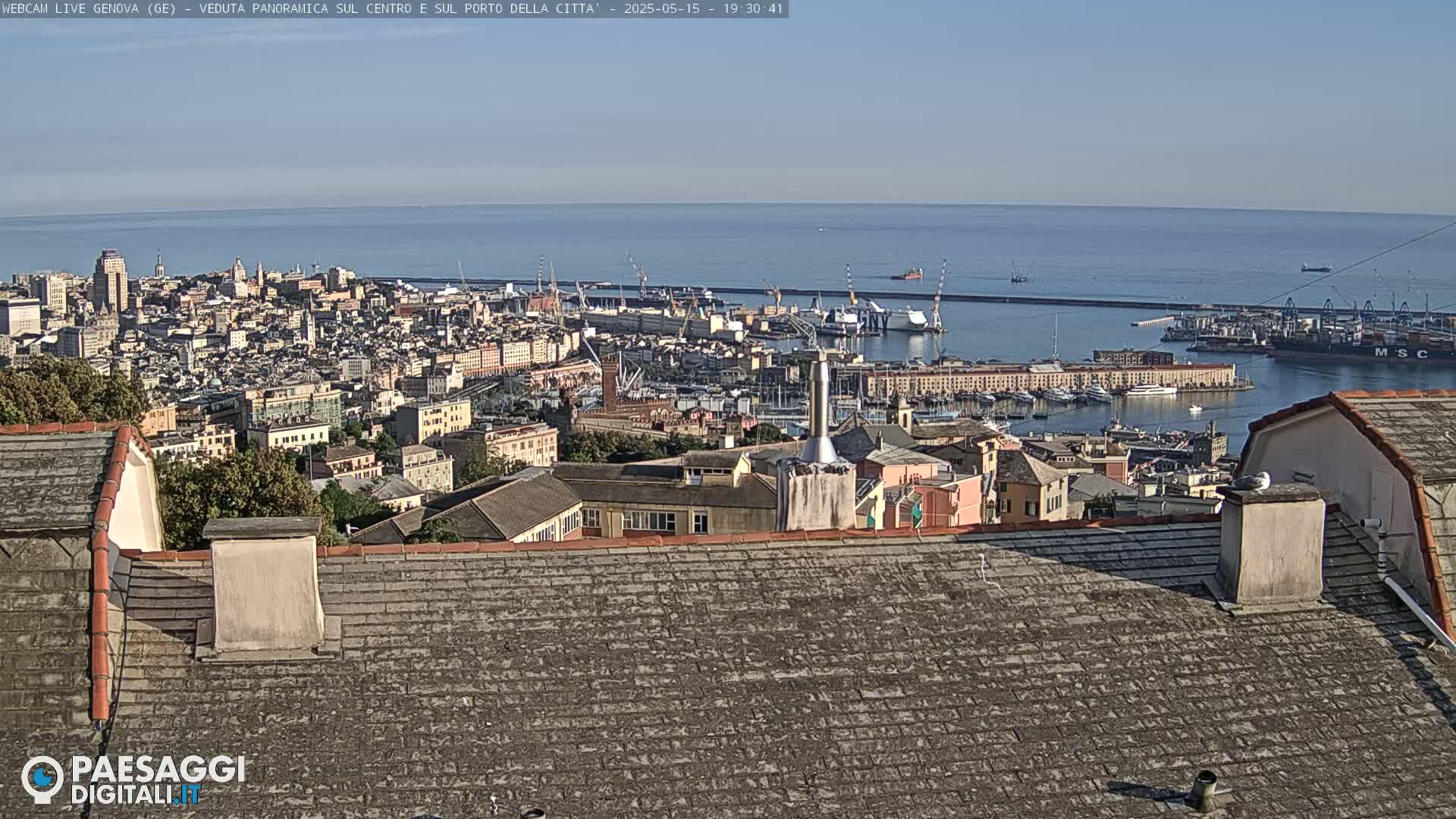 A sprawling city with a large harbor and a calm ocean under a clear sky is viewed from a rooftop.