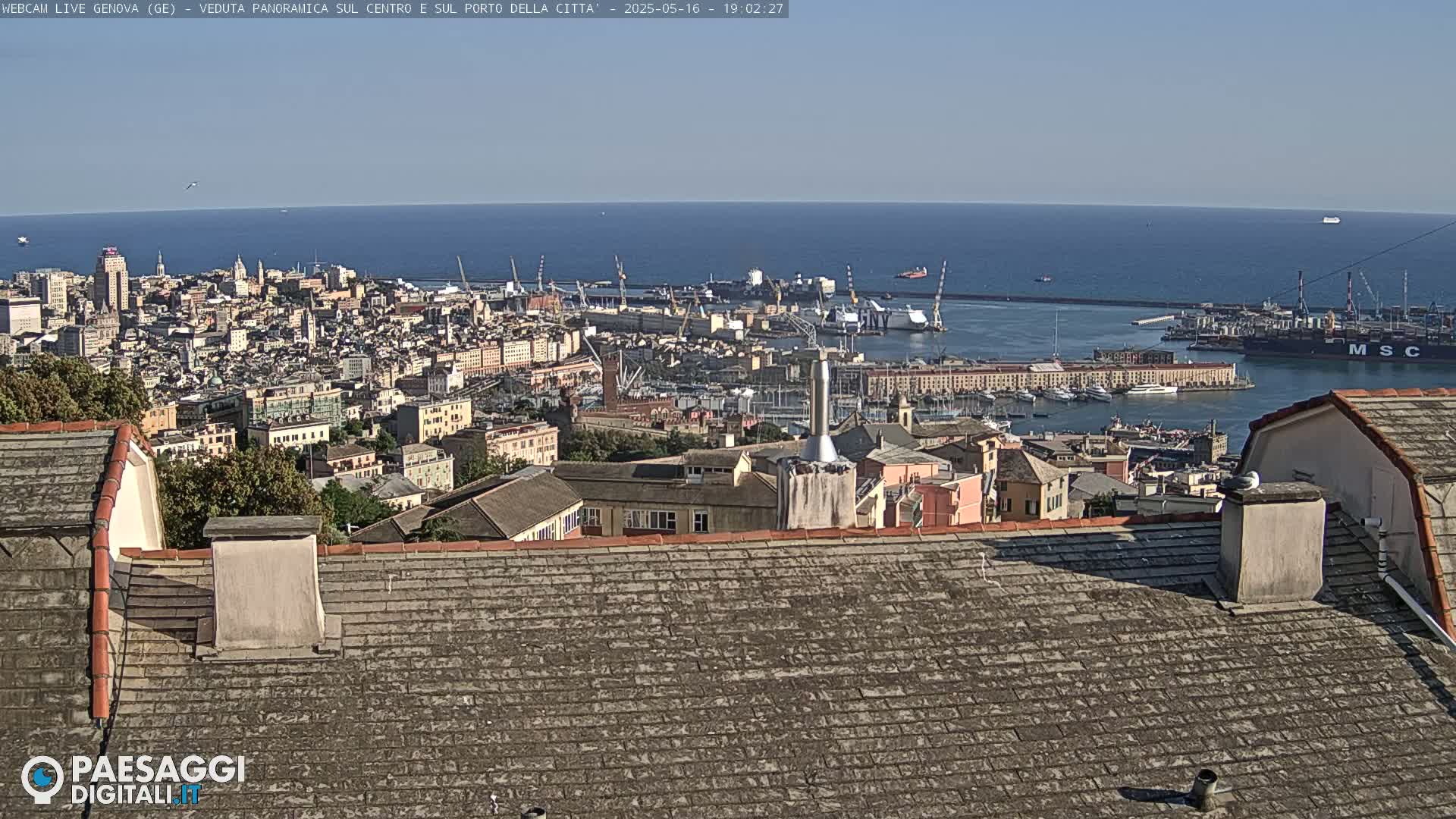 A panoramic view of a city harbor, with numerous ships and buildings, under sunny skies, is seen from a rooftop.