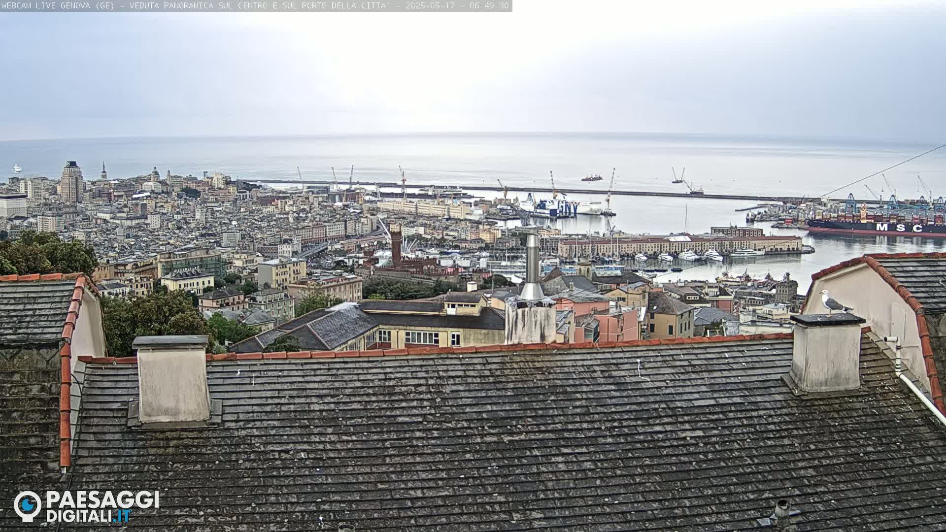  Pietrasanta City Live Cam - Lucca, Tuscany, Italy