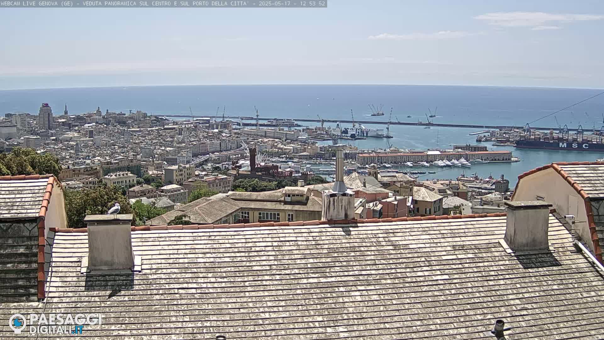 A panoramic view of a city and harbor on a sunny day, seen from a rooftop with a seagull perched on a chimney.