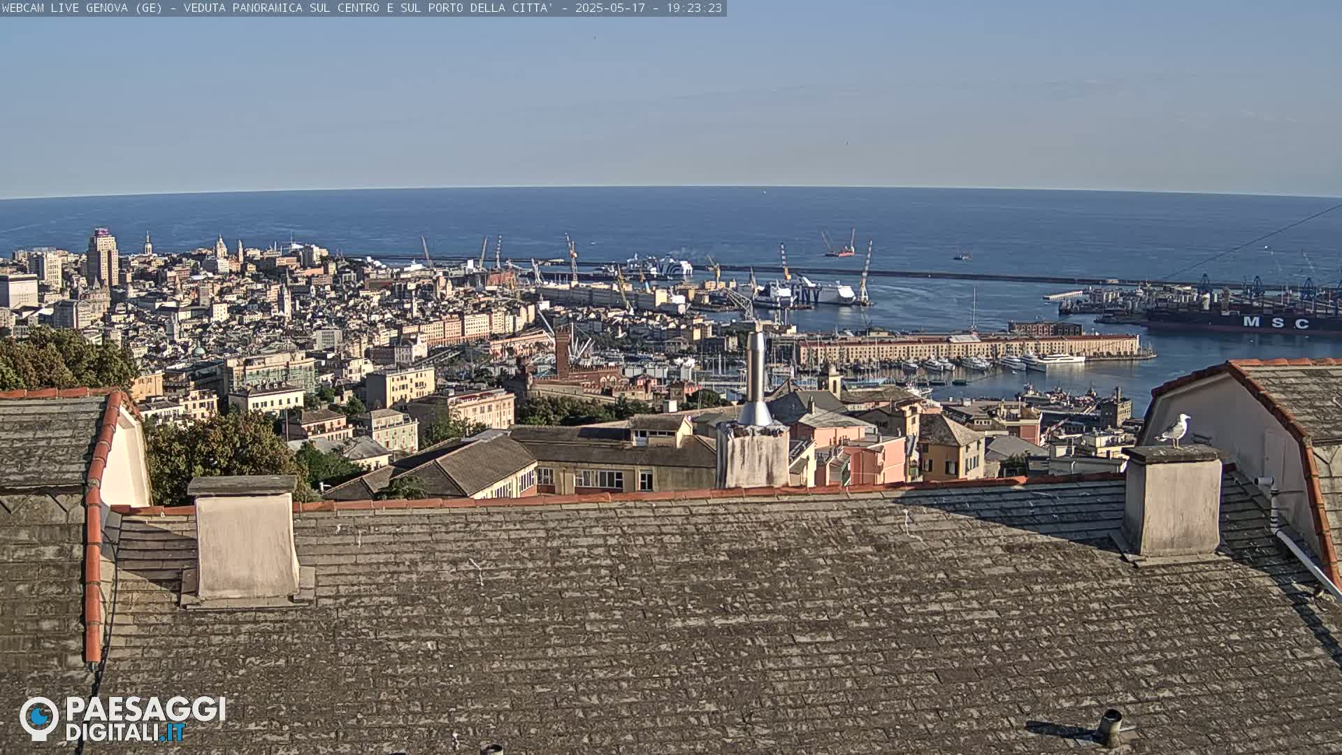 A sprawling cityscape with a busy port and calm ocean under a clear sky is viewed from a rooftop.