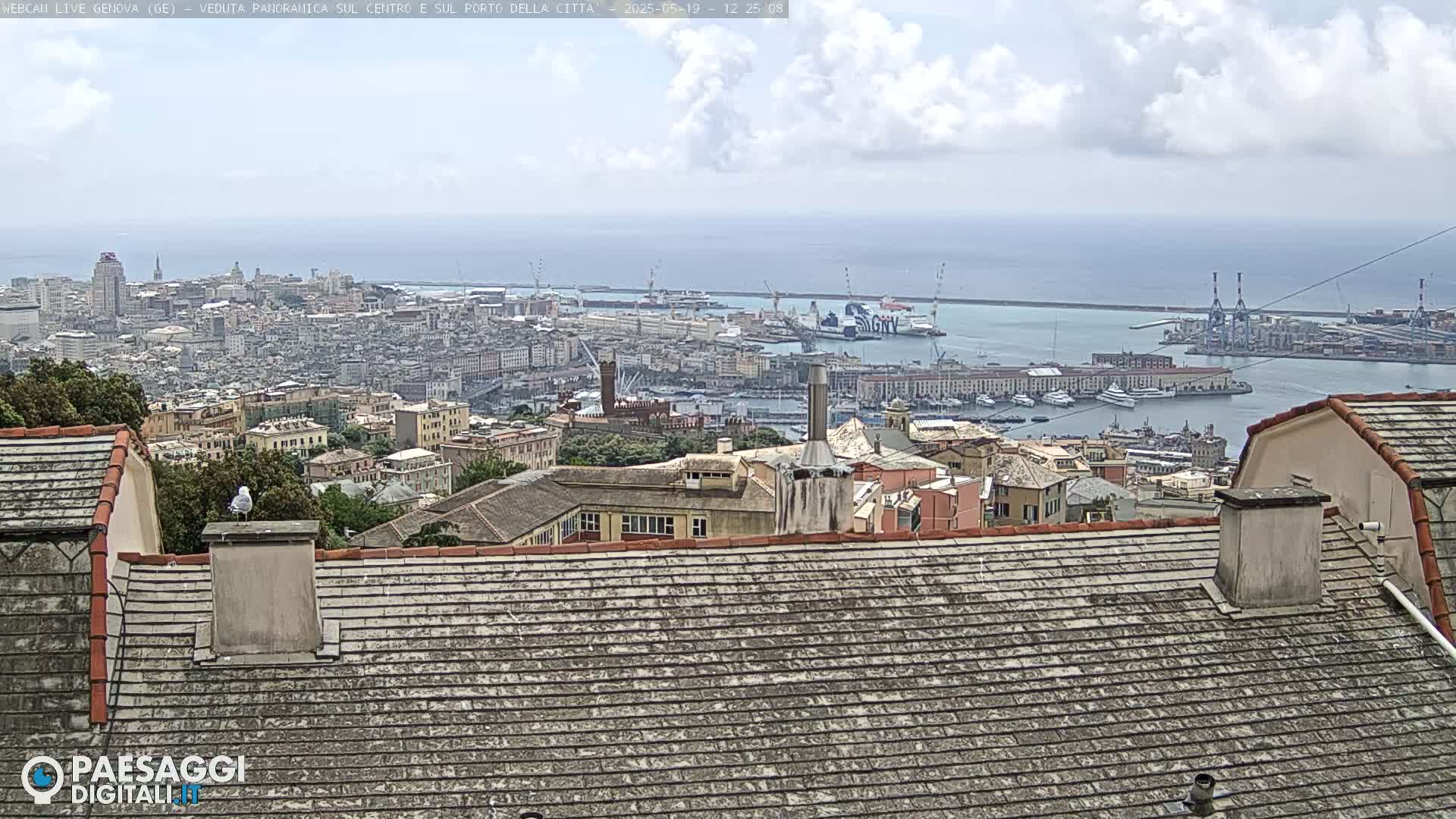 A panoramic view of a city and harbor on a partly cloudy day, seen from a rooftop with a seagull perched on a chimney.
