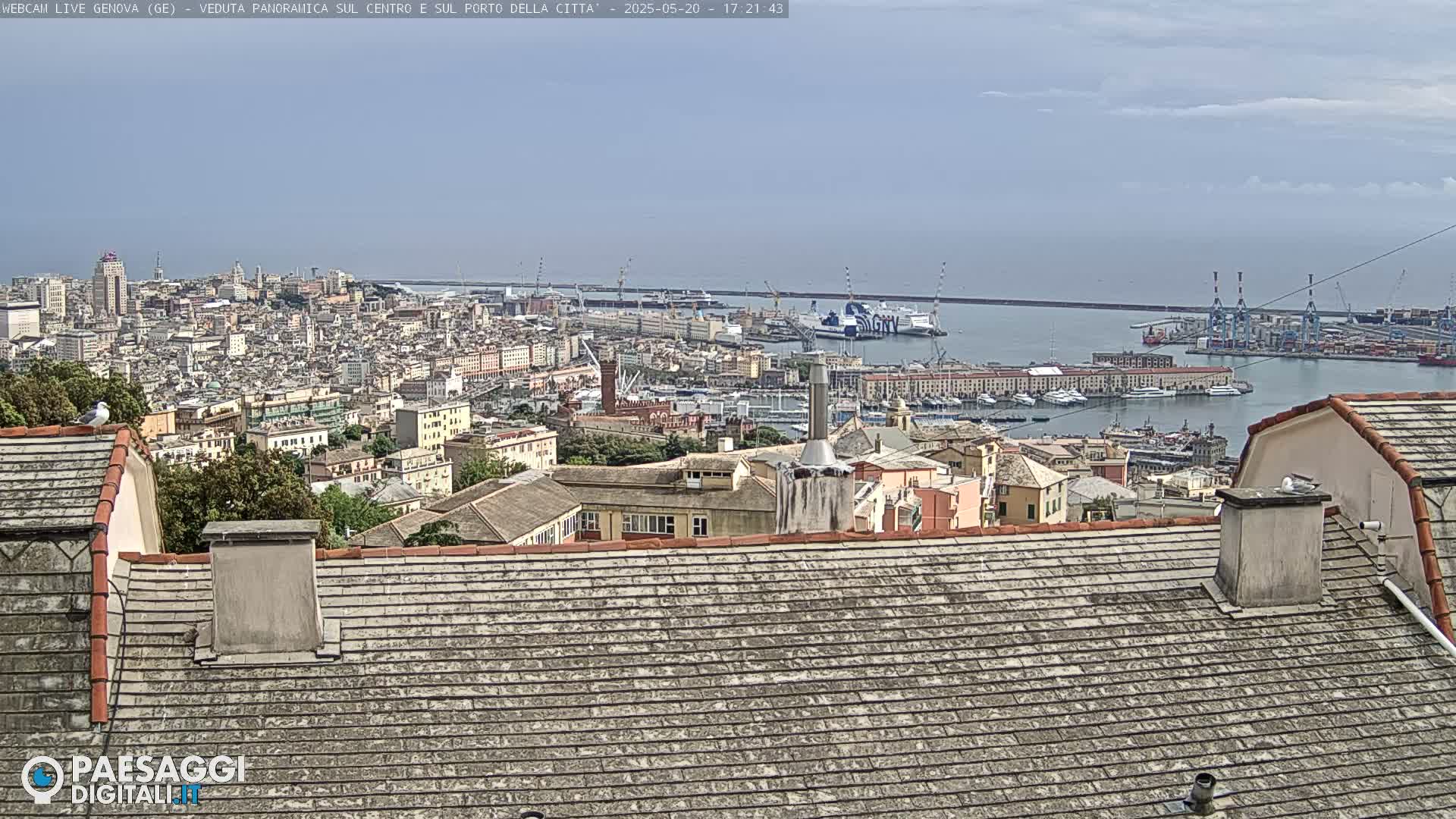 A city and harbor are visible from a rooftop on a clear, sunny day.