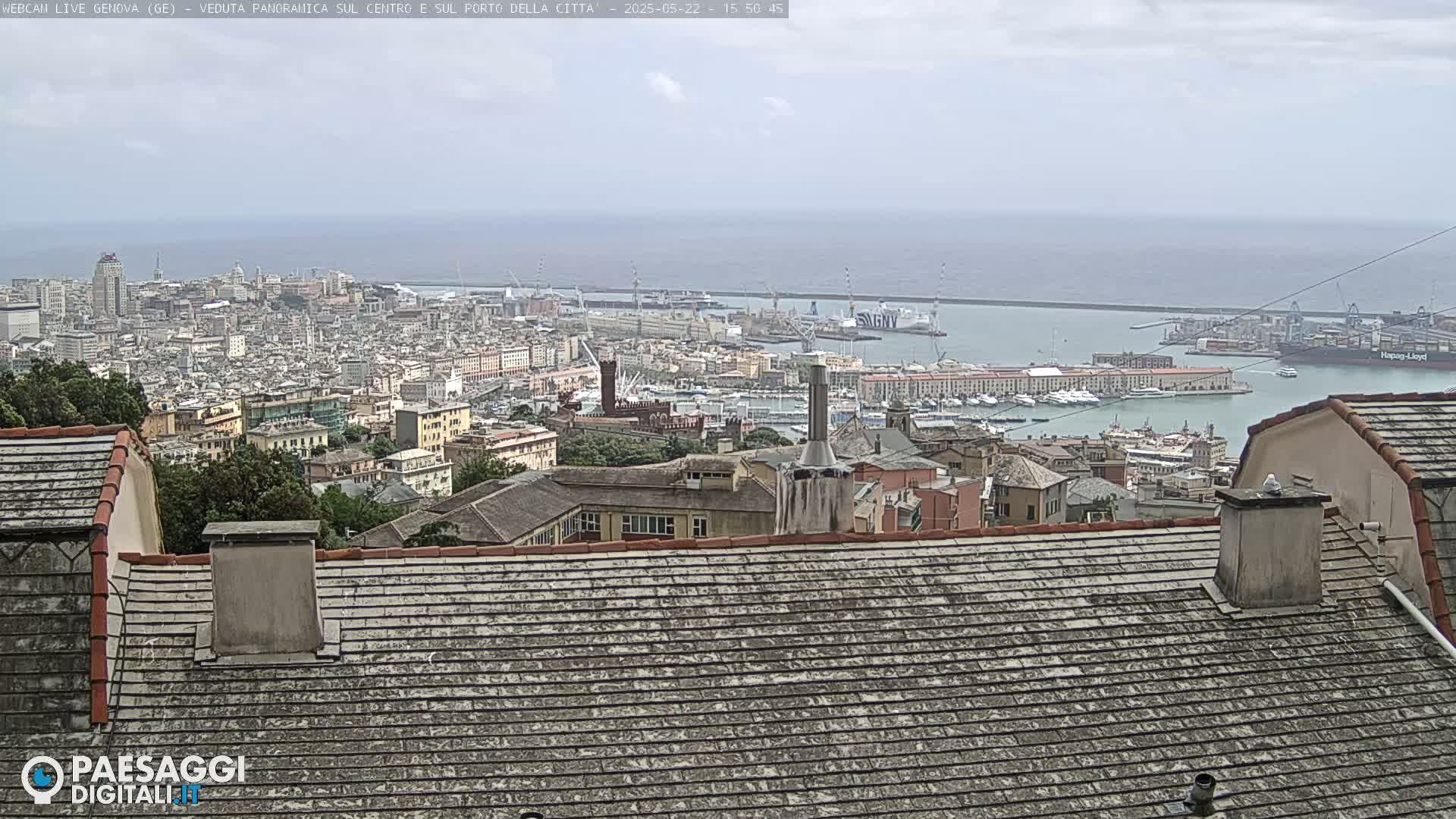 A panoramic view of a city harbor and cityscape on an overcast day, seen from a high vantage point overlooking a tiled roof.