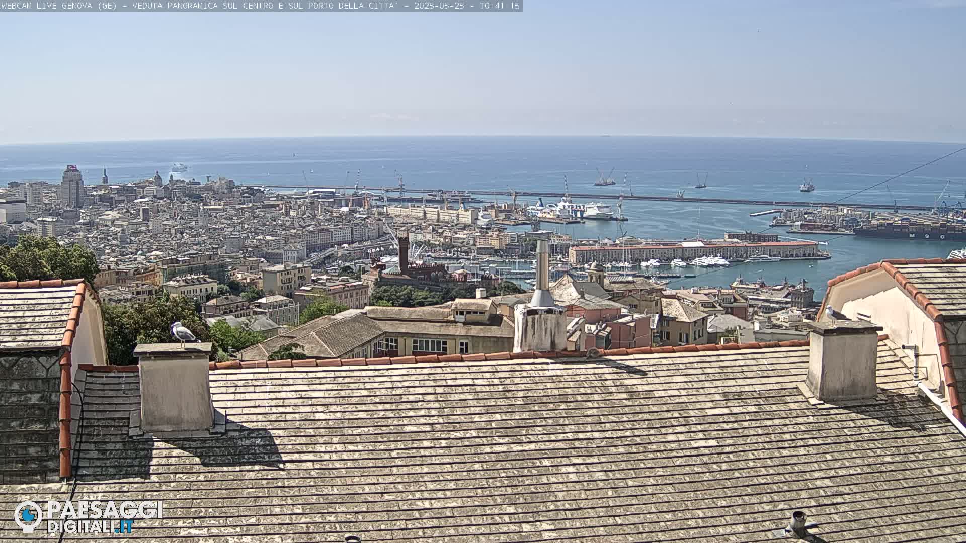 A seagull perches on a rooftop overlooking a city's harbor and coastline on a sunny day.