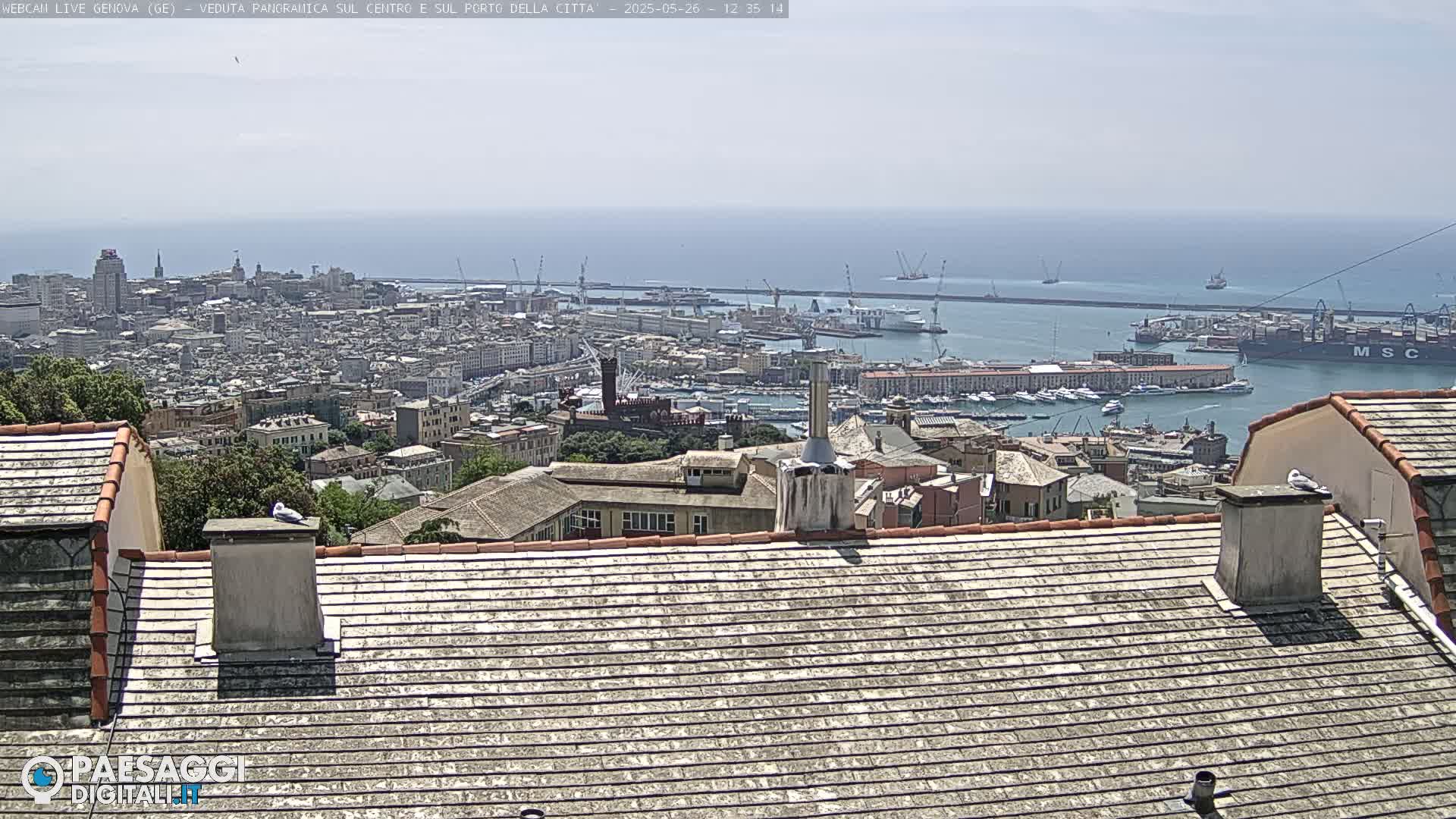 A panoramic view of a city harbor on a sunny day, seen from a rooftop with a seagull perched on a chimney.