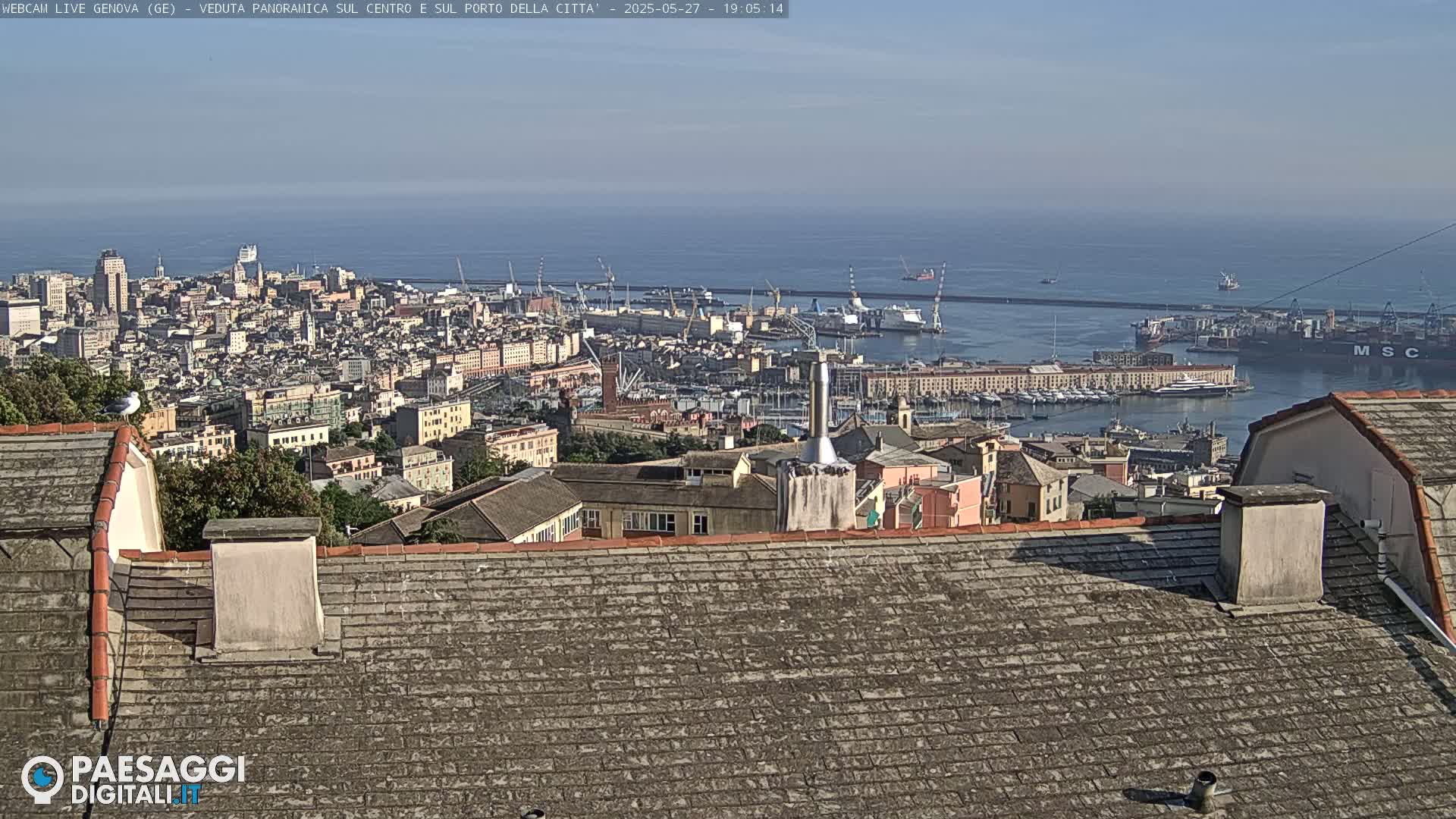 A panoramic view of a city and harbor on a clear day, seen from a rooftop with a seagull perched nearby.
