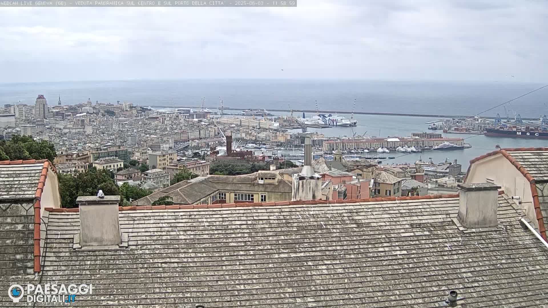 A sprawling cityscape with a harbor filled with ships is visible from a high vantage point on an overcast day.