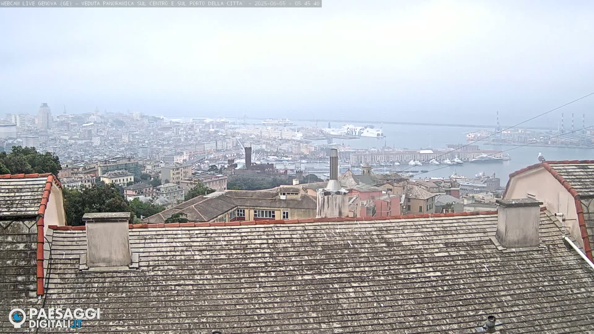 A hazy view of a city and harbor, seen from a high vantage point overlooking rooftops.