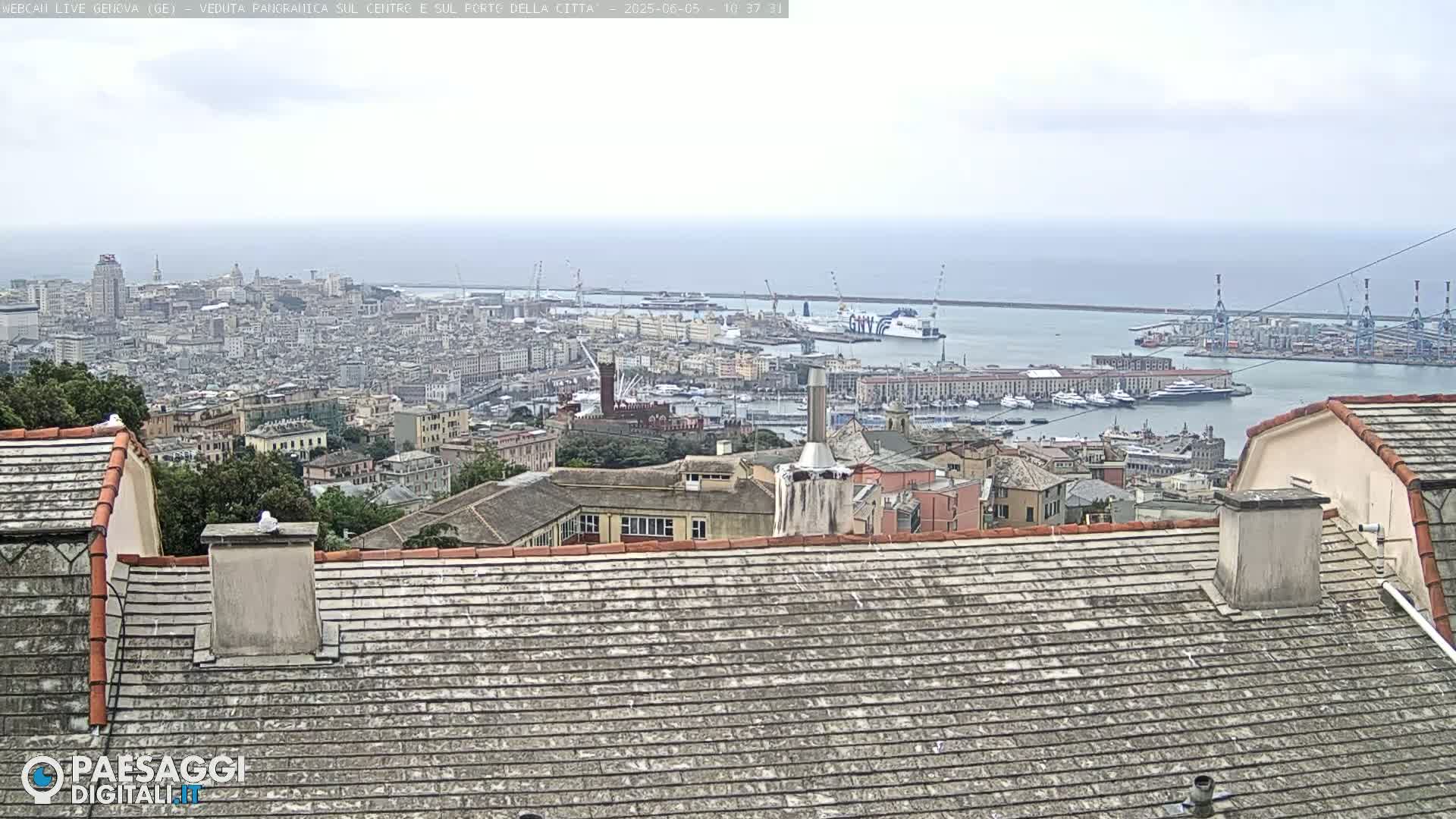 A panoramic view of a city and harbor on an overcast day, seen from a rooftop.