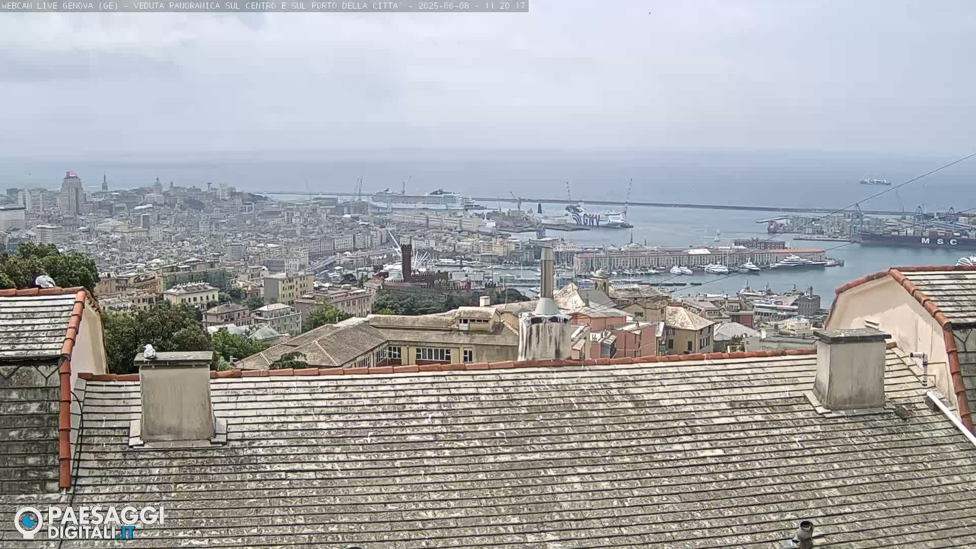 A hazy view of a city and harbor from a rooftop, with several ships visible in the water.