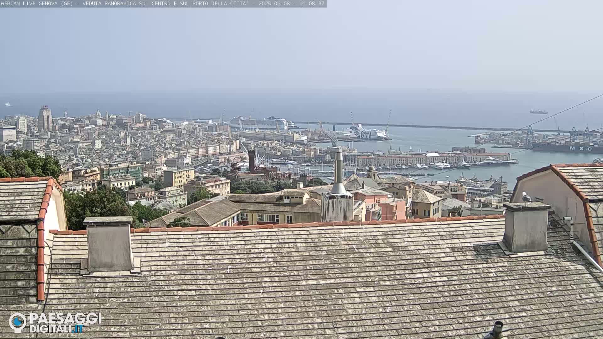 A hazy, sunny day overlooks a sprawling city and its busy harbor filled with numerous boats and ships, as seen from a high vantage point.