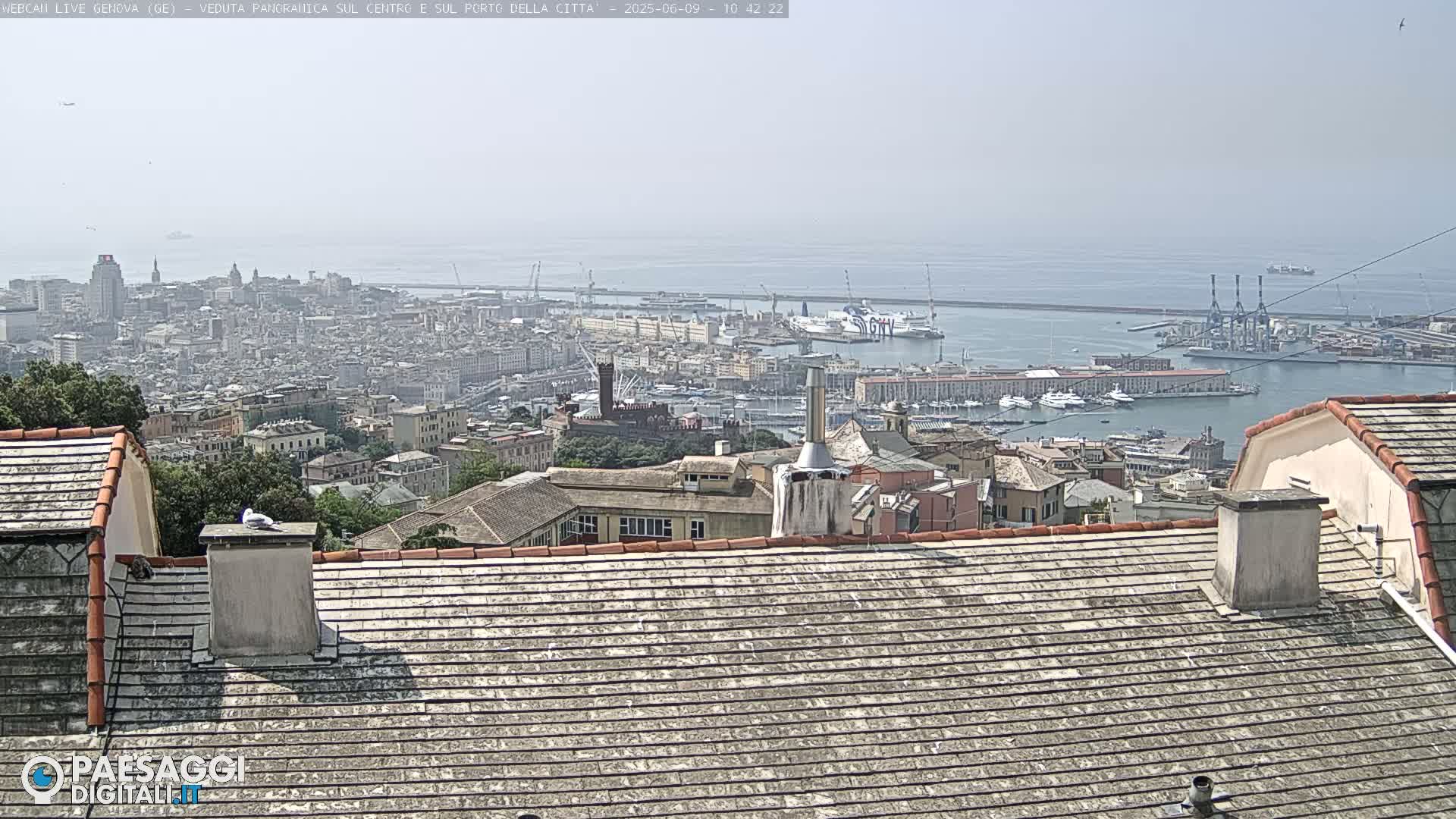 A hazy, sunny view of a city and harbor from a rooftop, showing many buildings and boats.