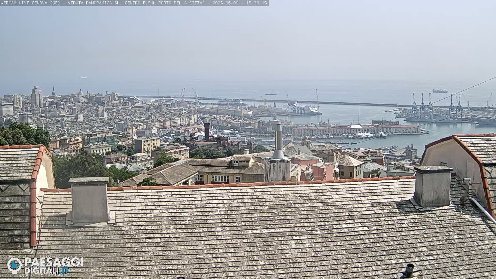 A hazy view of a city and harbor from a rooftop, showing numerous buildings and ships.