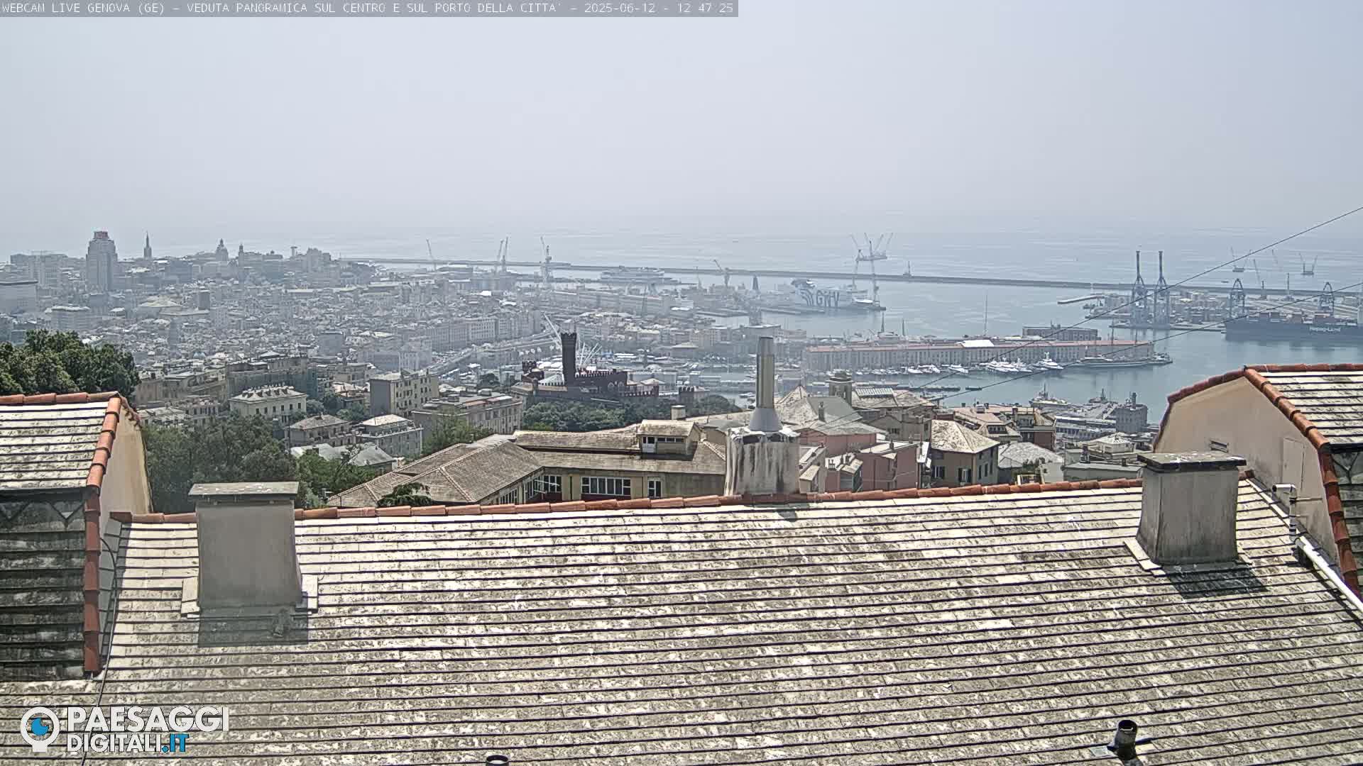 A hazy view of a city and harbor from a rooftop, with numerous buildings and docked ships visible in the distance.