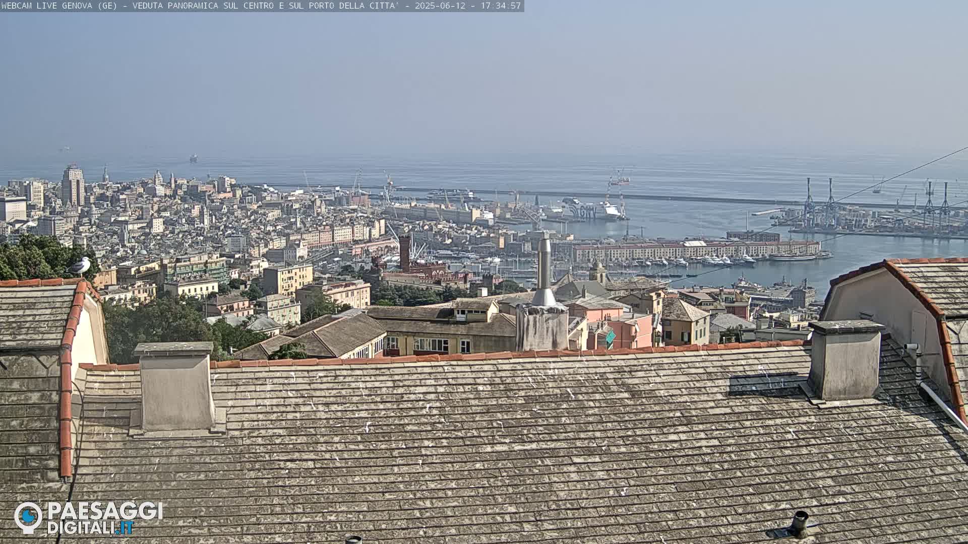 A hazy view of a city and harbor, seen from a rooftop on a clear day, with a seagull perched on a nearby building.