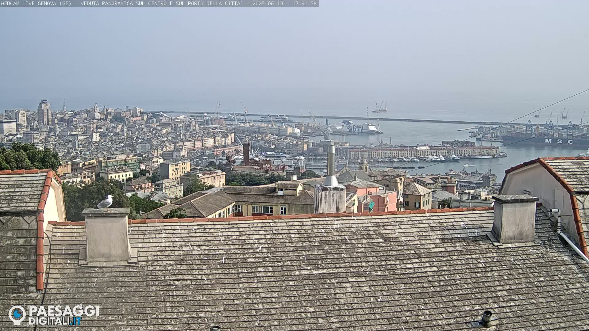 A hazy, long-distance view of a city and harbor, seen from a rooftop with several seagulls perched nearby.