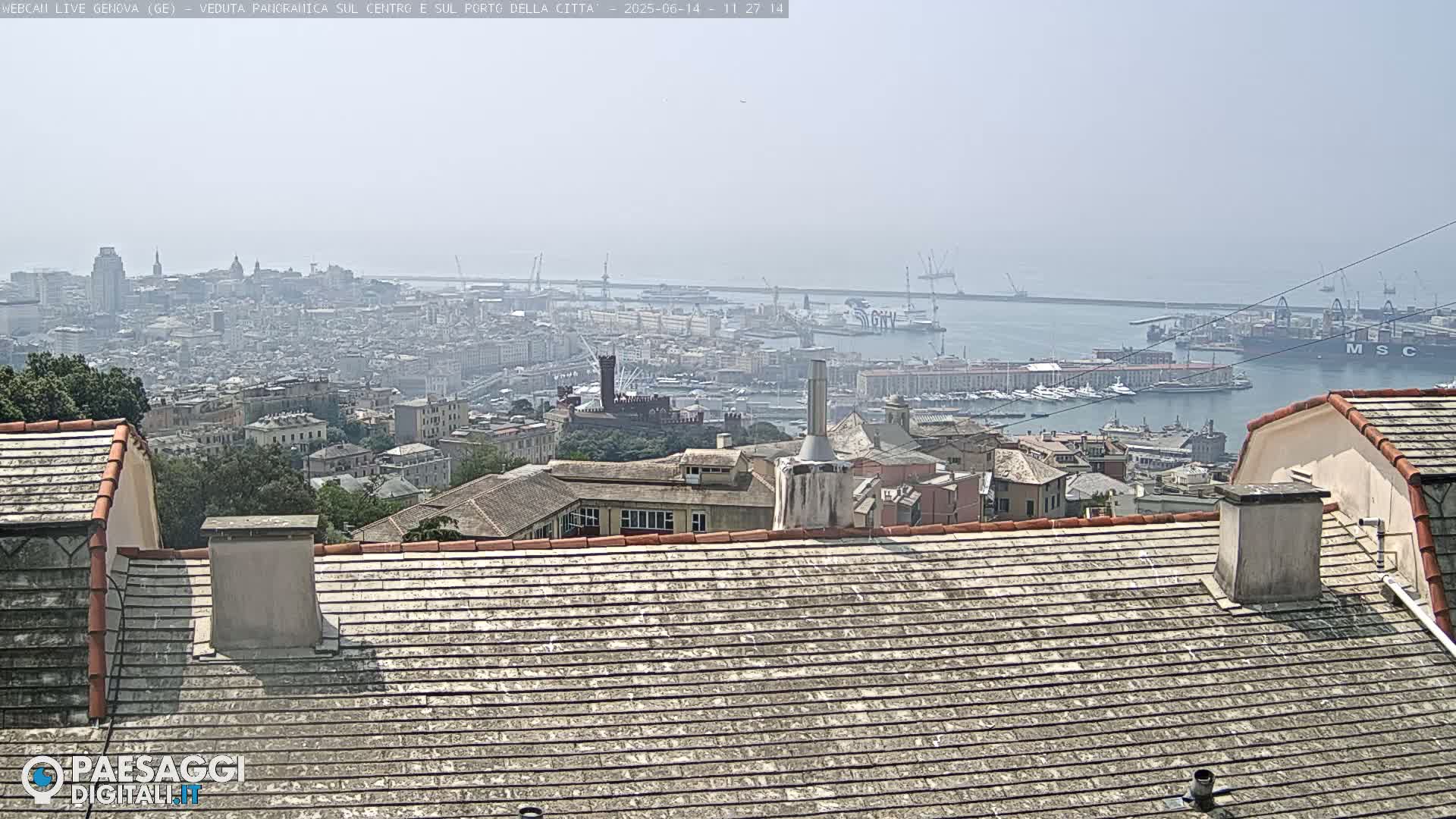 A hazy view of a city and harbor from a rooftop, showing many buildings and numerous ships.