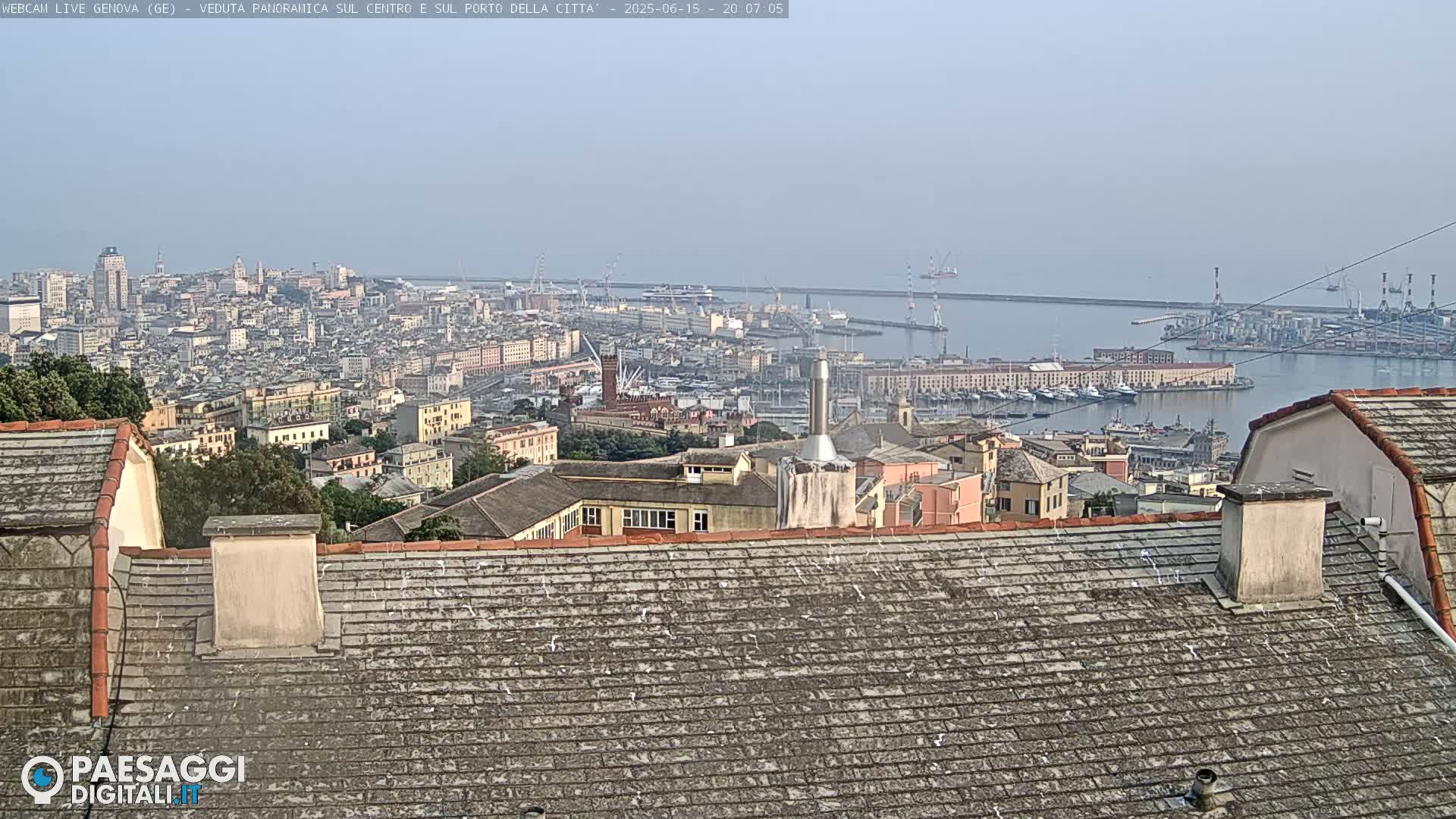 A hazy view from a rooftop shows a sprawling city and its harbor, filled with boats and industrial structures.