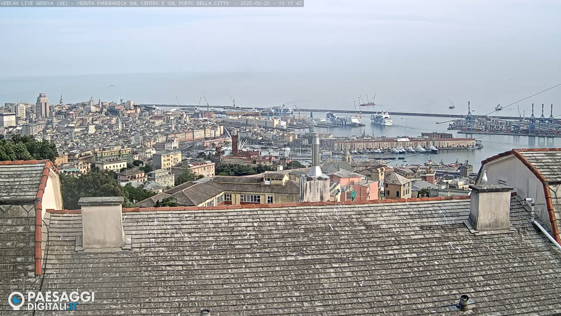 A hazy view of a city and harbor, seen from a rooftop with a seagull perched on a chimney.
