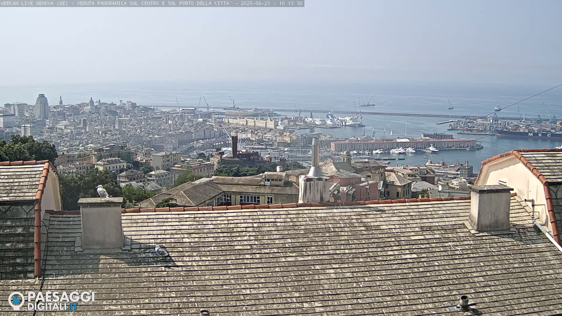 A hazy view of a city and harbor, seen from a rooftop with two seagulls perched on chimneys, under a mostly clear sky.