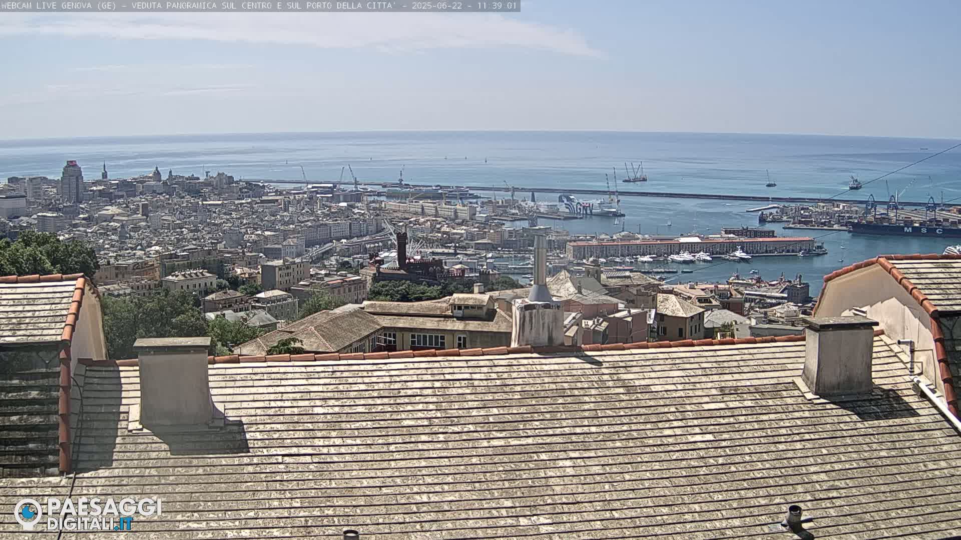 A panoramic view of a city and harbor on a sunny day, seen from a rooftop.