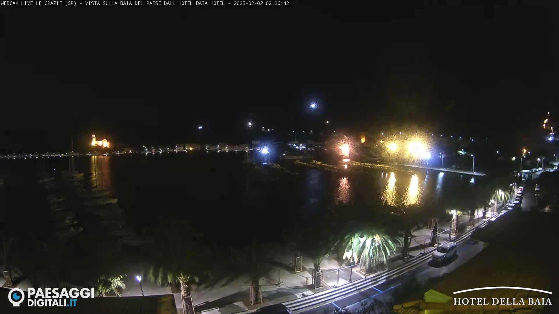 A nighttime view of a waterfront town with palm trees lining a roadway, illuminated buildings, and a body of water reflecting lights.