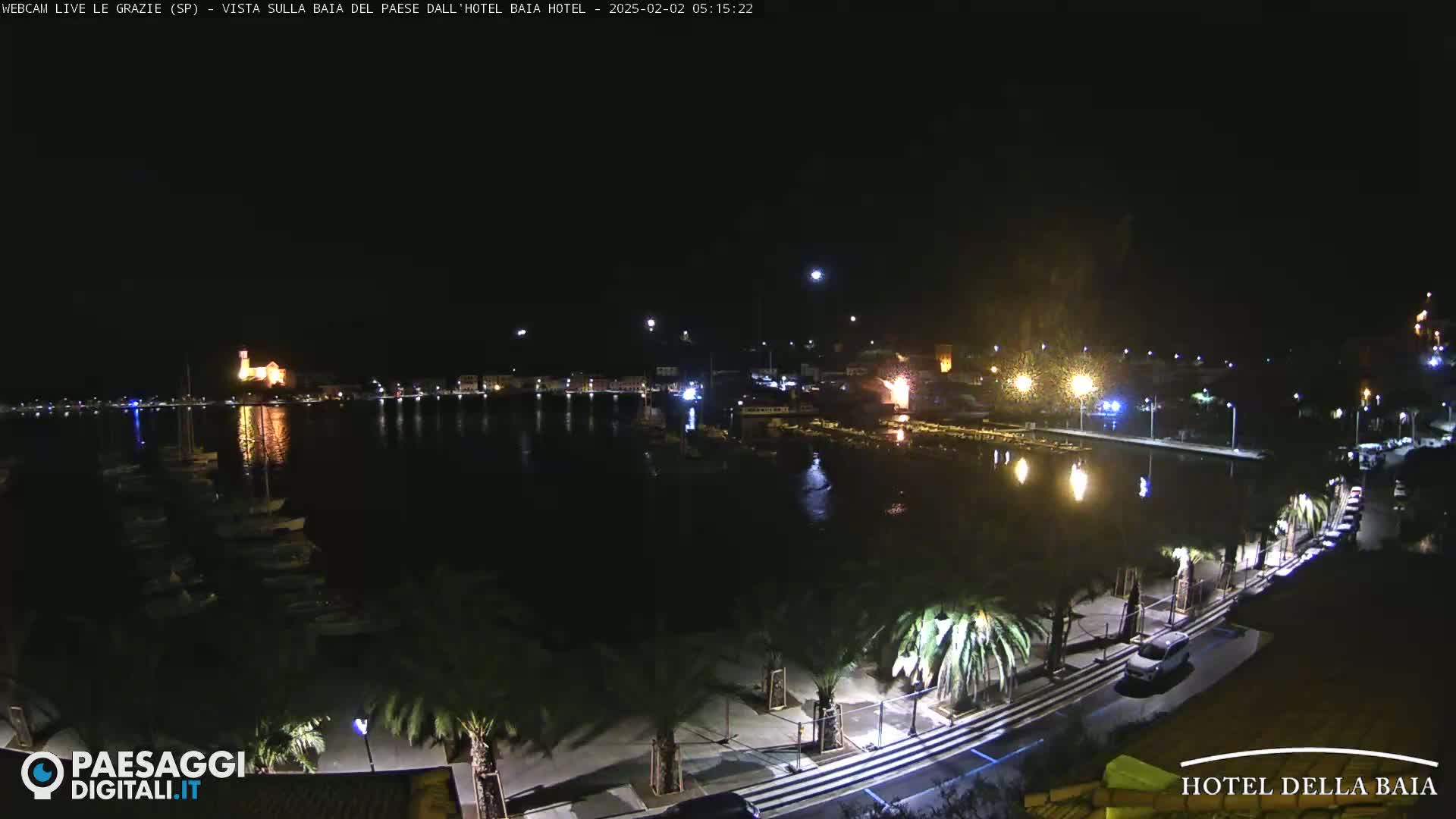 A nighttime view of a harbor with boats, illuminated buildings, and palm trees lining a waterfront road.