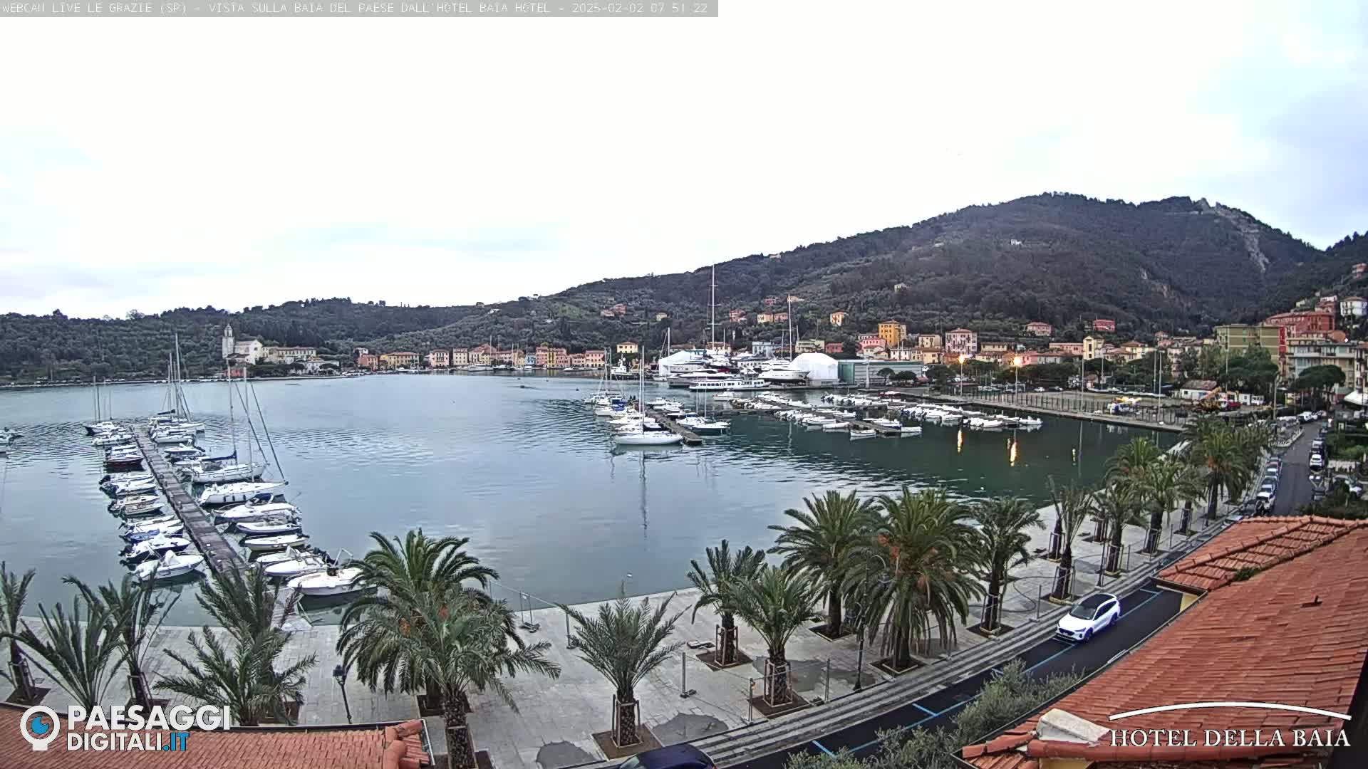 A harbor filled with sailboats and yachts is nestled beside a town at the base of a tree-covered hill under an overcast sky.