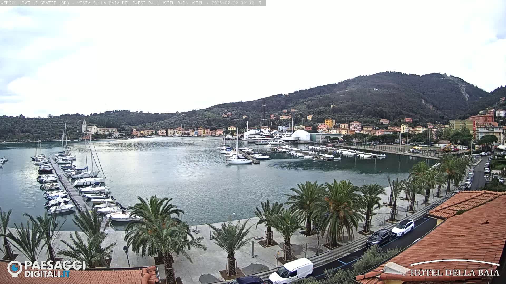 A harbor filled with boats is situated below a hill dotted with buildings, under an overcast sky.