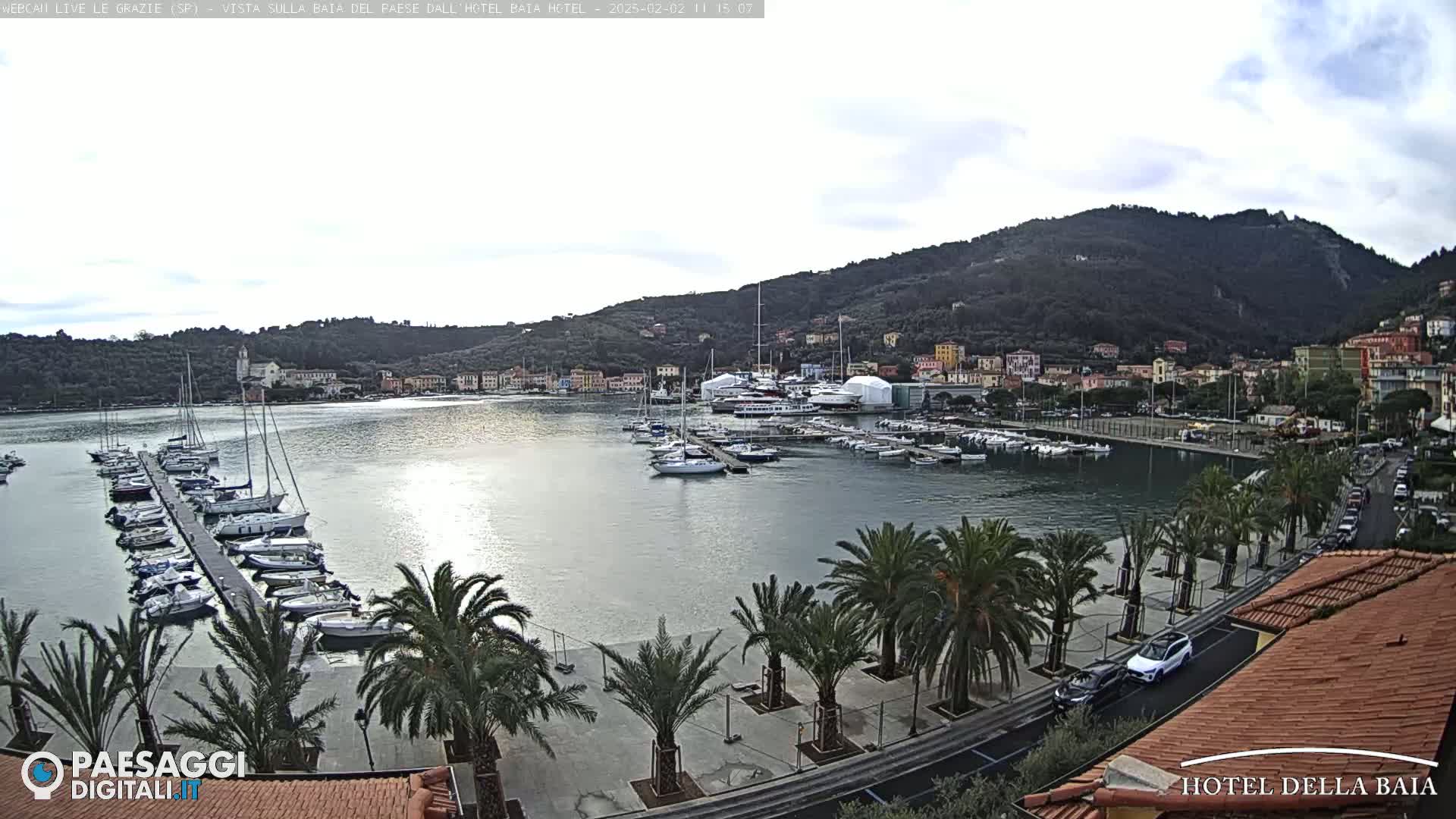 A harbor filled with sailboats and yachts is situated below a hillside town under a mostly cloudy sky.