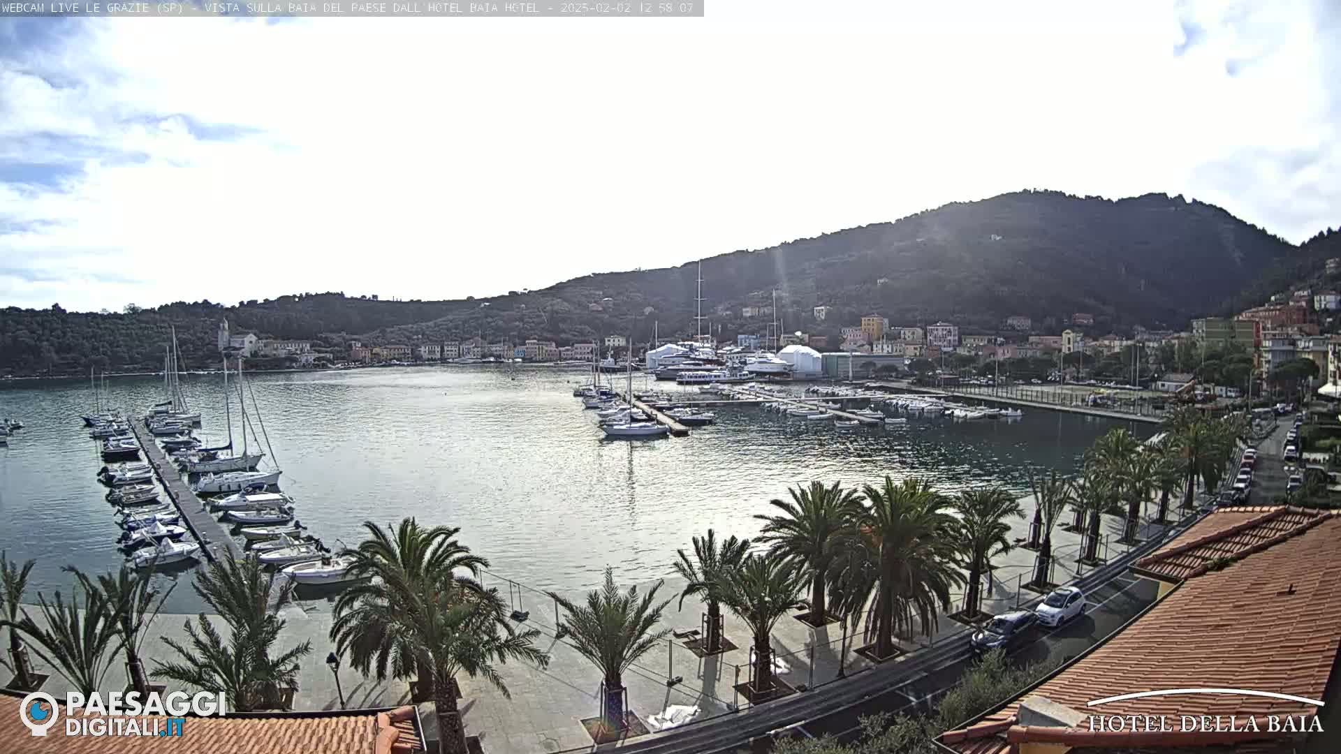 A calm bay with many boats docked, palm trees lining a paved waterfront, and a hillside town under a partly cloudy sky.