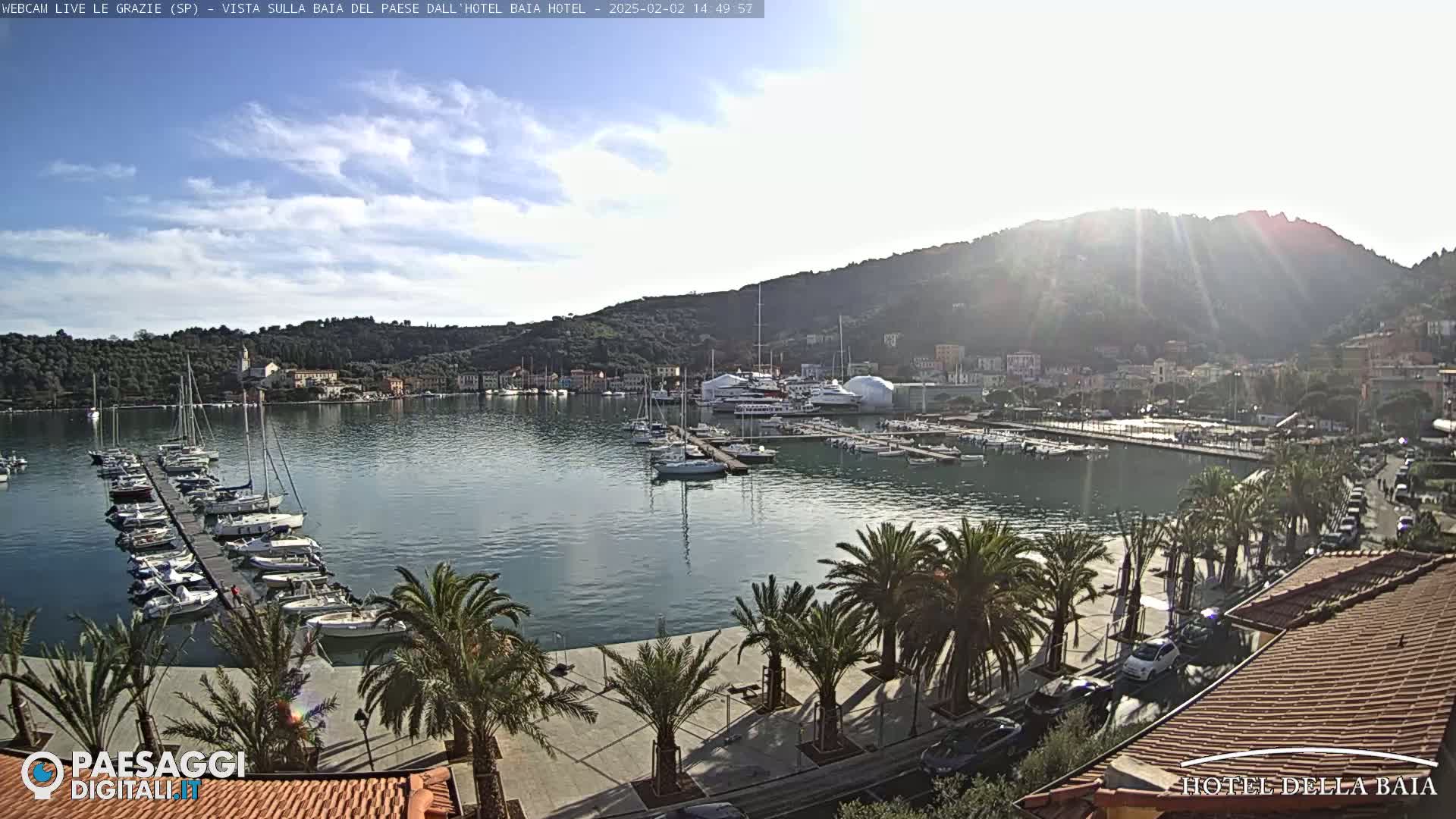 A sunny harbor scene shows a calm body of water filled with numerous boats docked at piers, lined with palm trees and a town nestled against hills in the background.