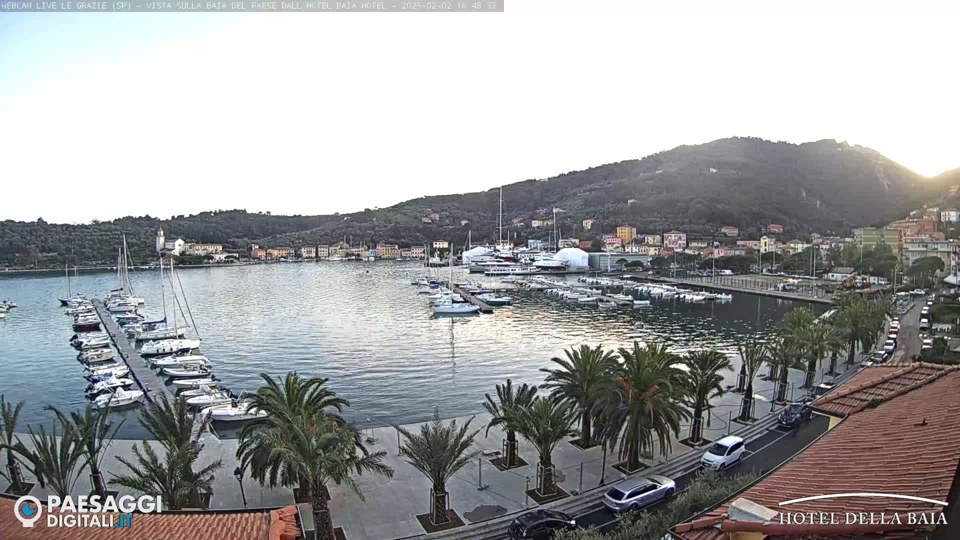 A calm harbor filled with sailboats is nestled beside a town situated on a hillside, under a clear, light sky.