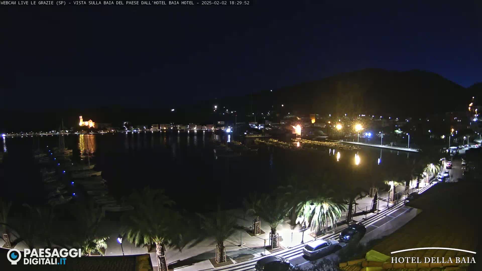 A nighttime view of a harbor, illuminated by lights, with boats docked and palm trees lining a waterfront promenade.